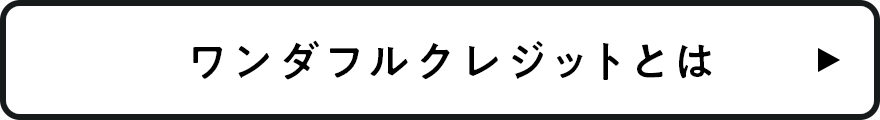 ワンダフルクレジットとは