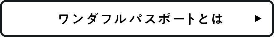 ワンダフルパスポートとは