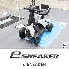 e-SNEAKER