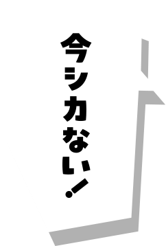 今シカない！