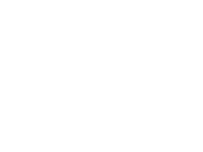 MOVE 30th ANNIVERSARY