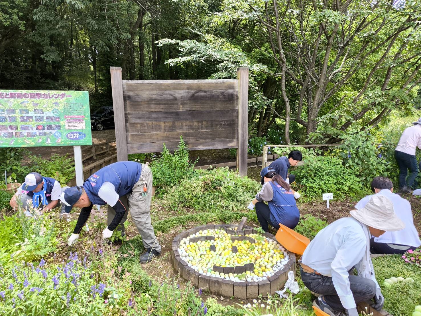 社長の近藤もスタッフと一緒に草取り