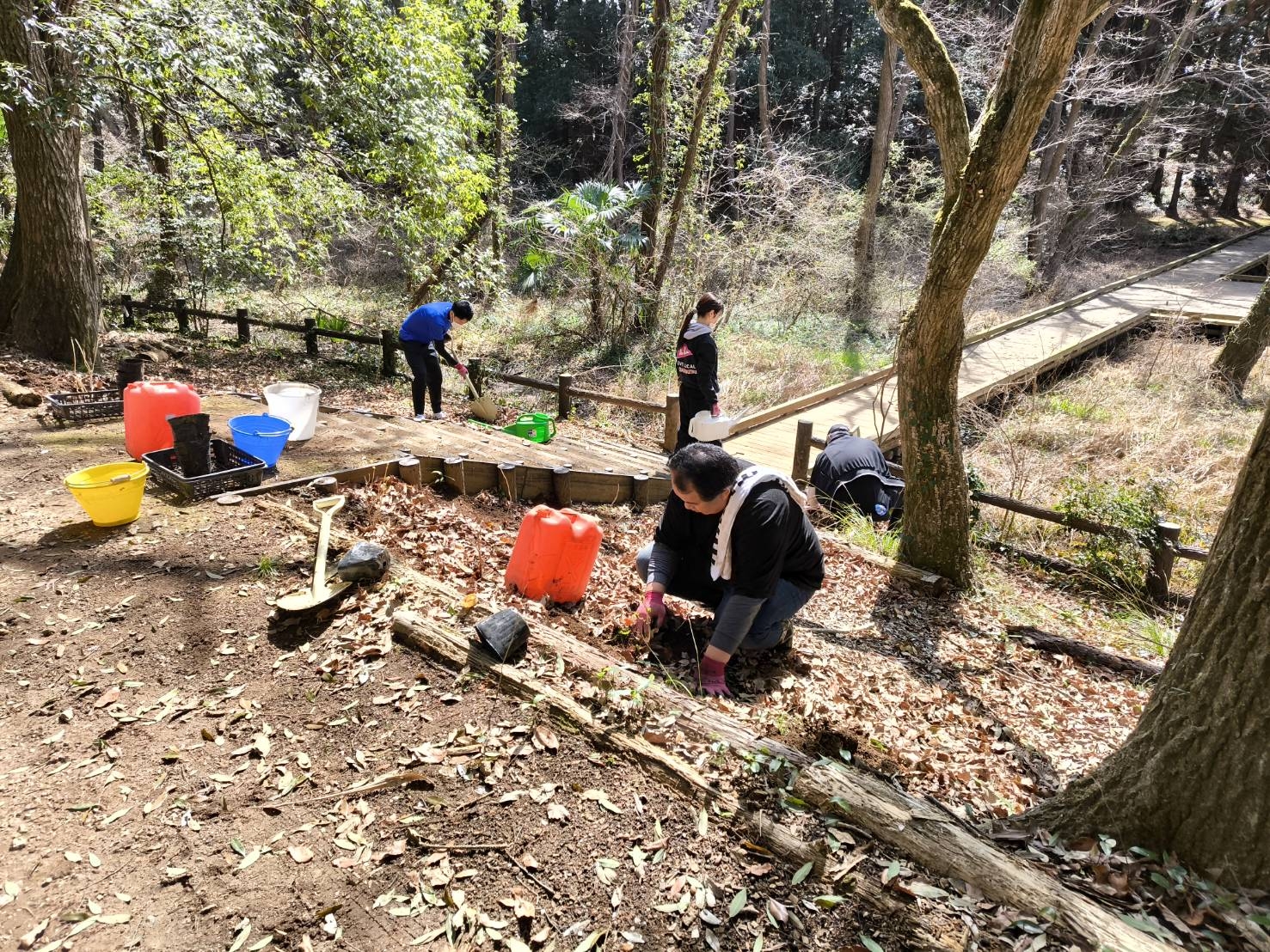 階段脇にアジサイを植えて