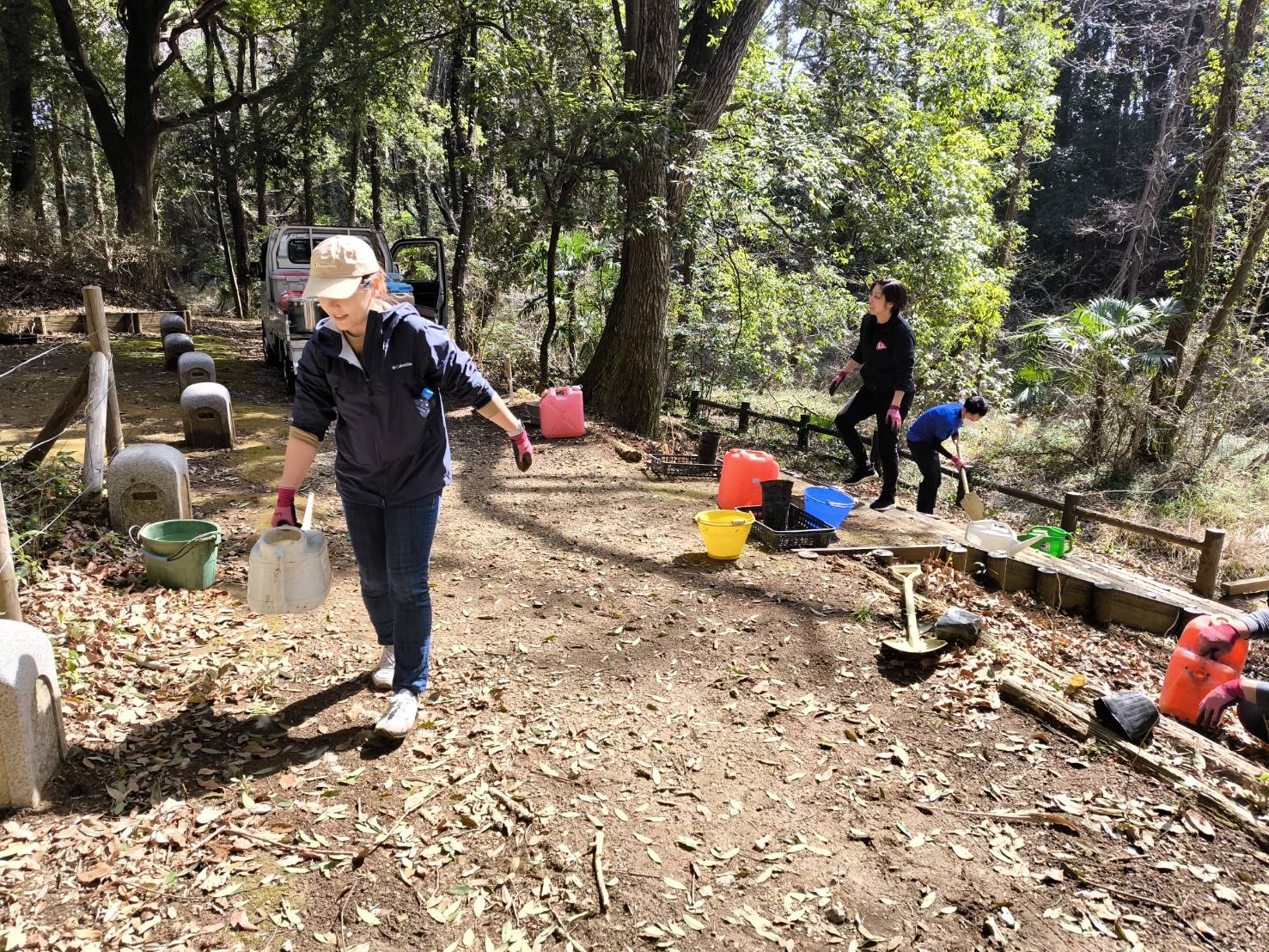 アジサイ階段の出来上がり