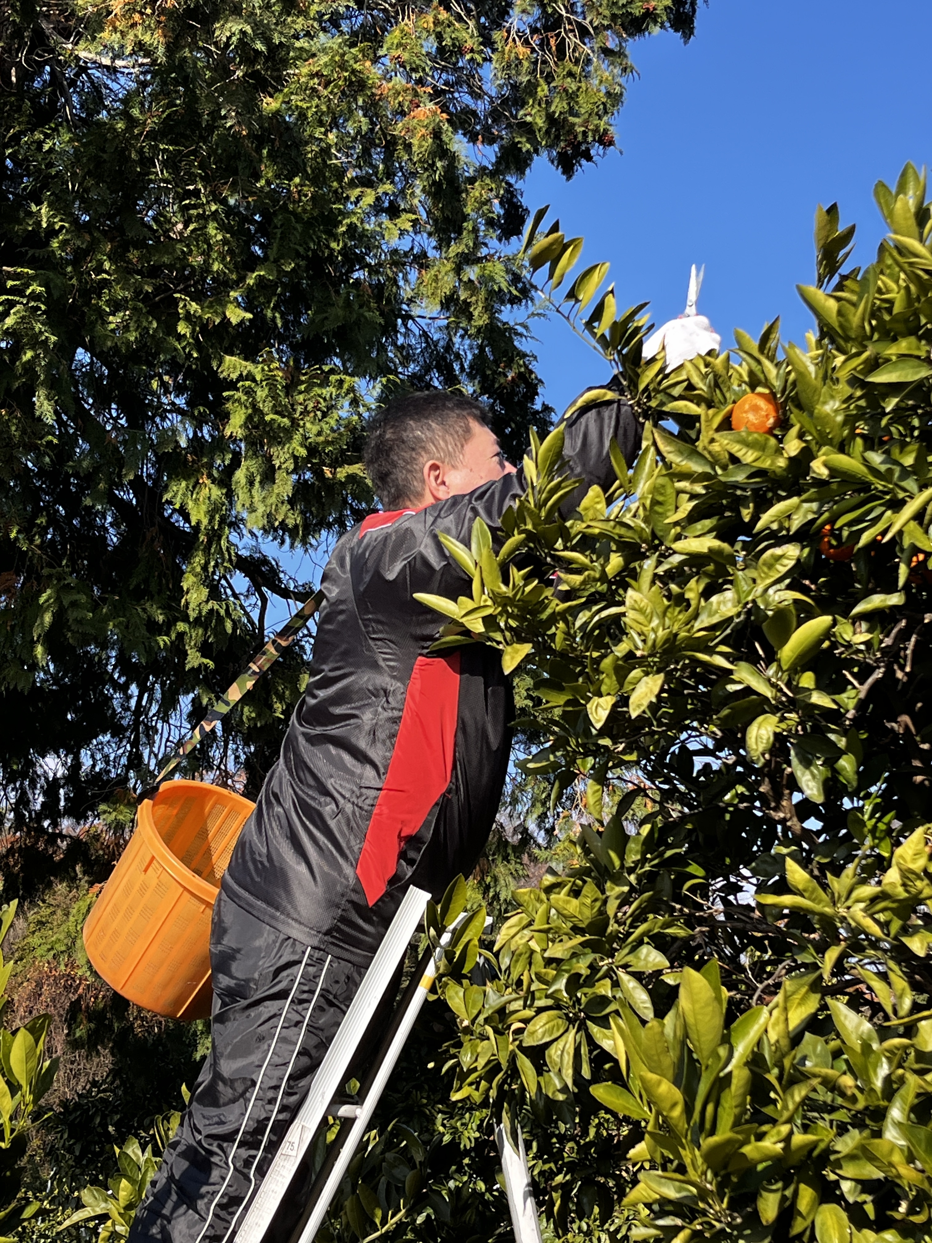 今年の職人はこの方に決定です！