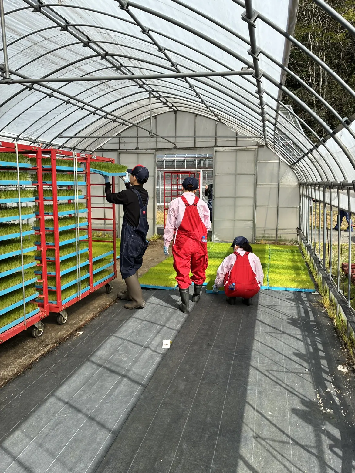 3人一組で声を掛け合って進めていきます