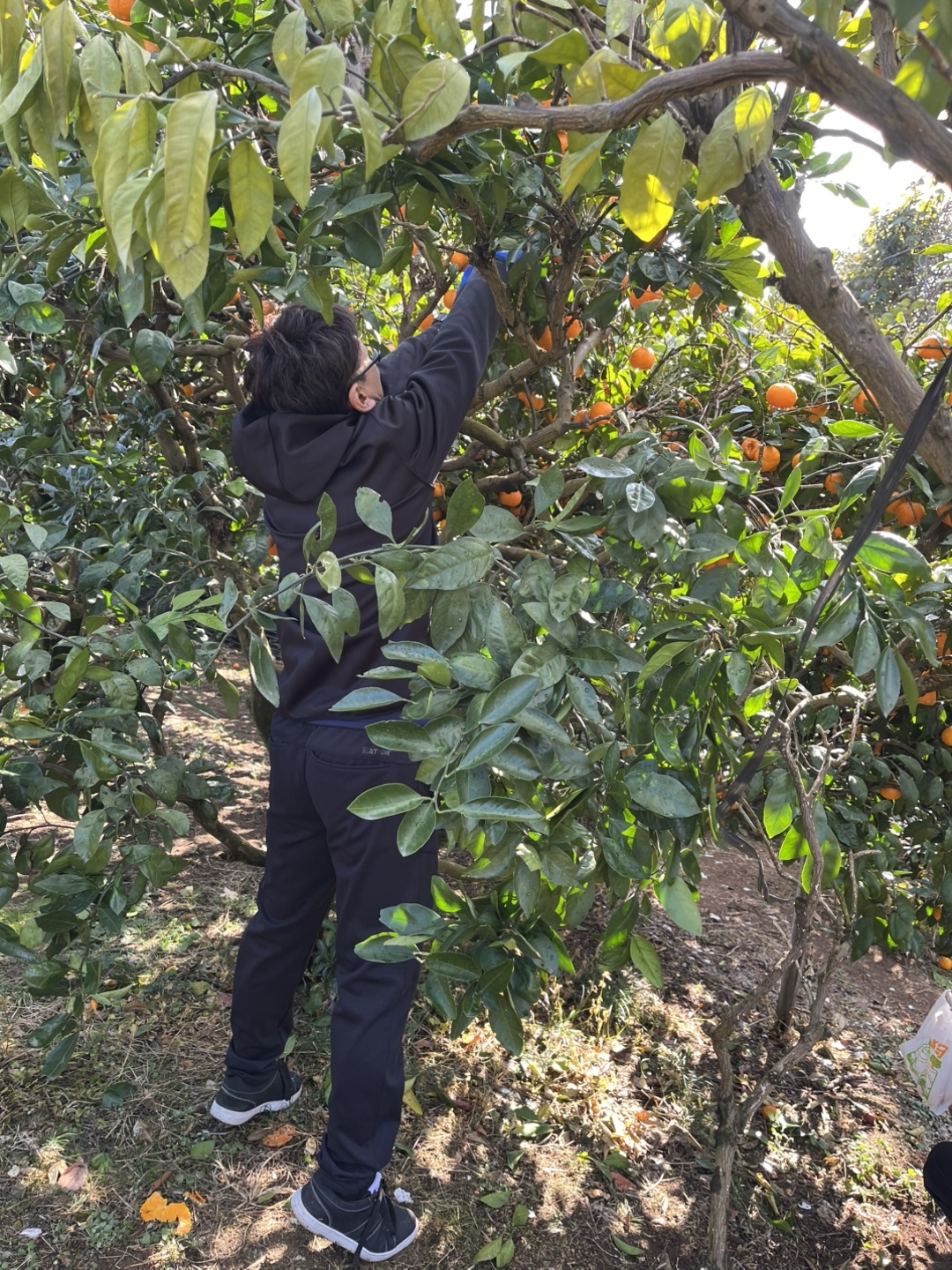 高いところも手が届きます