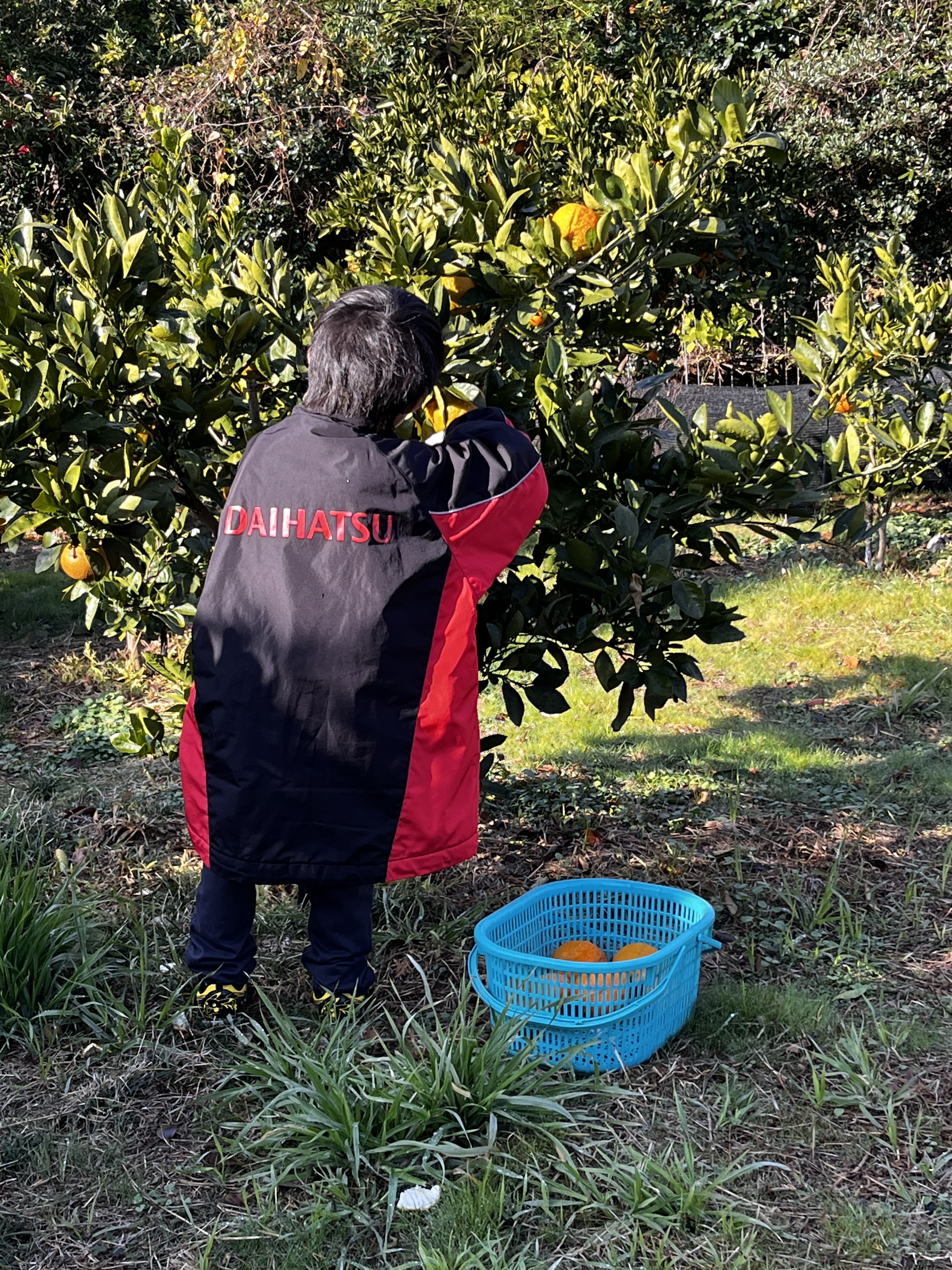 ダイハツジャンパーは最強アイテム