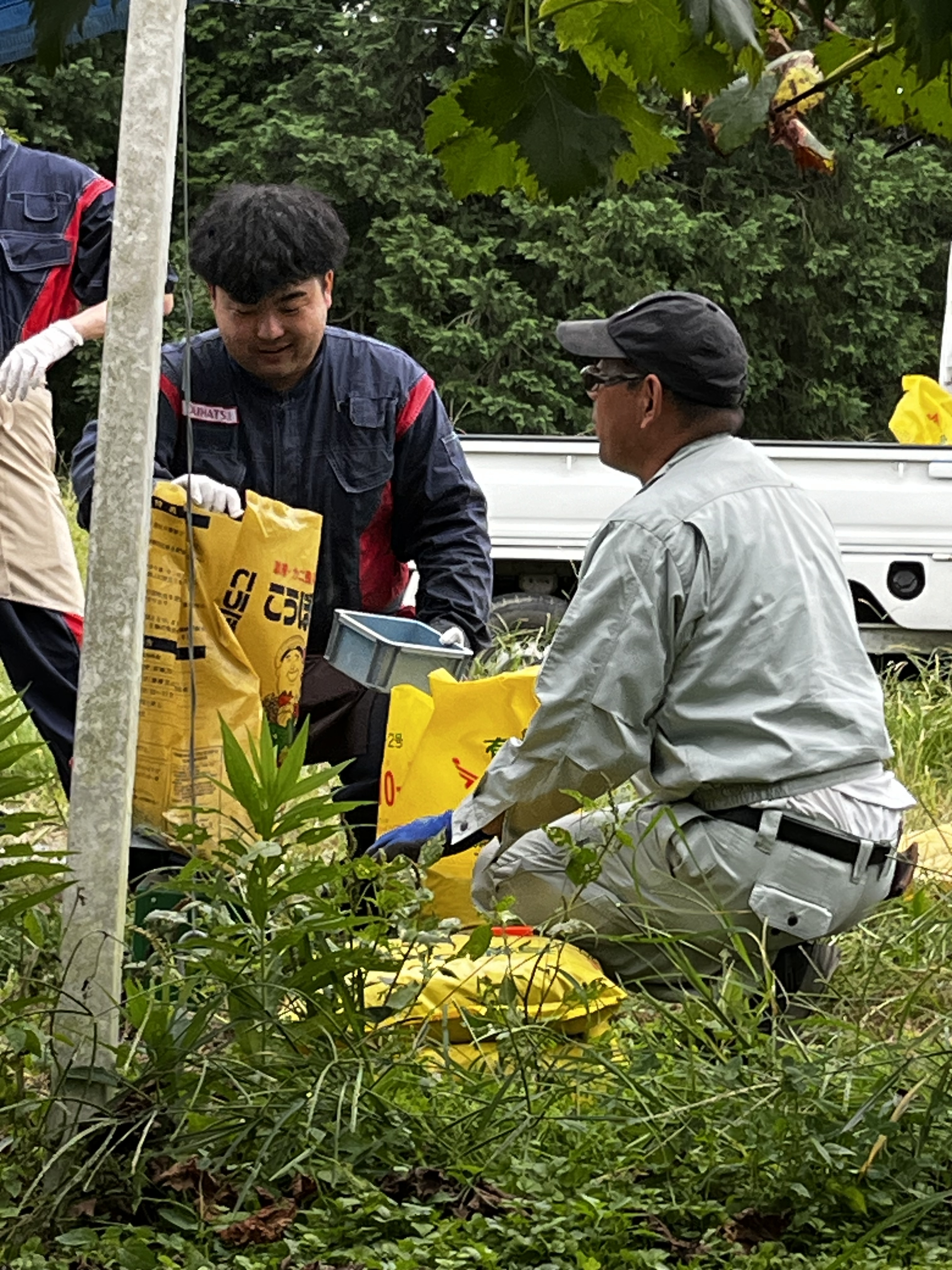 KPという肥料を400ｇづつ計っていきます