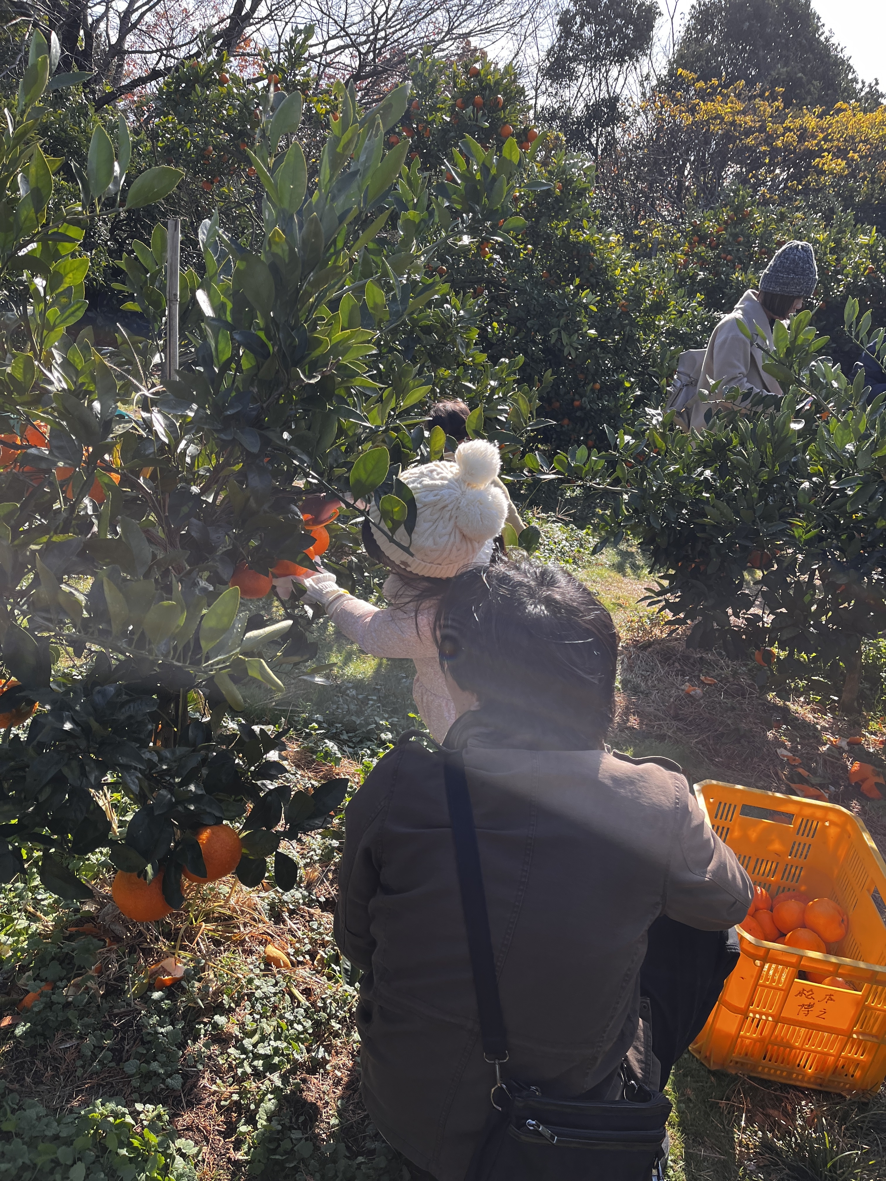 パパが見守ります