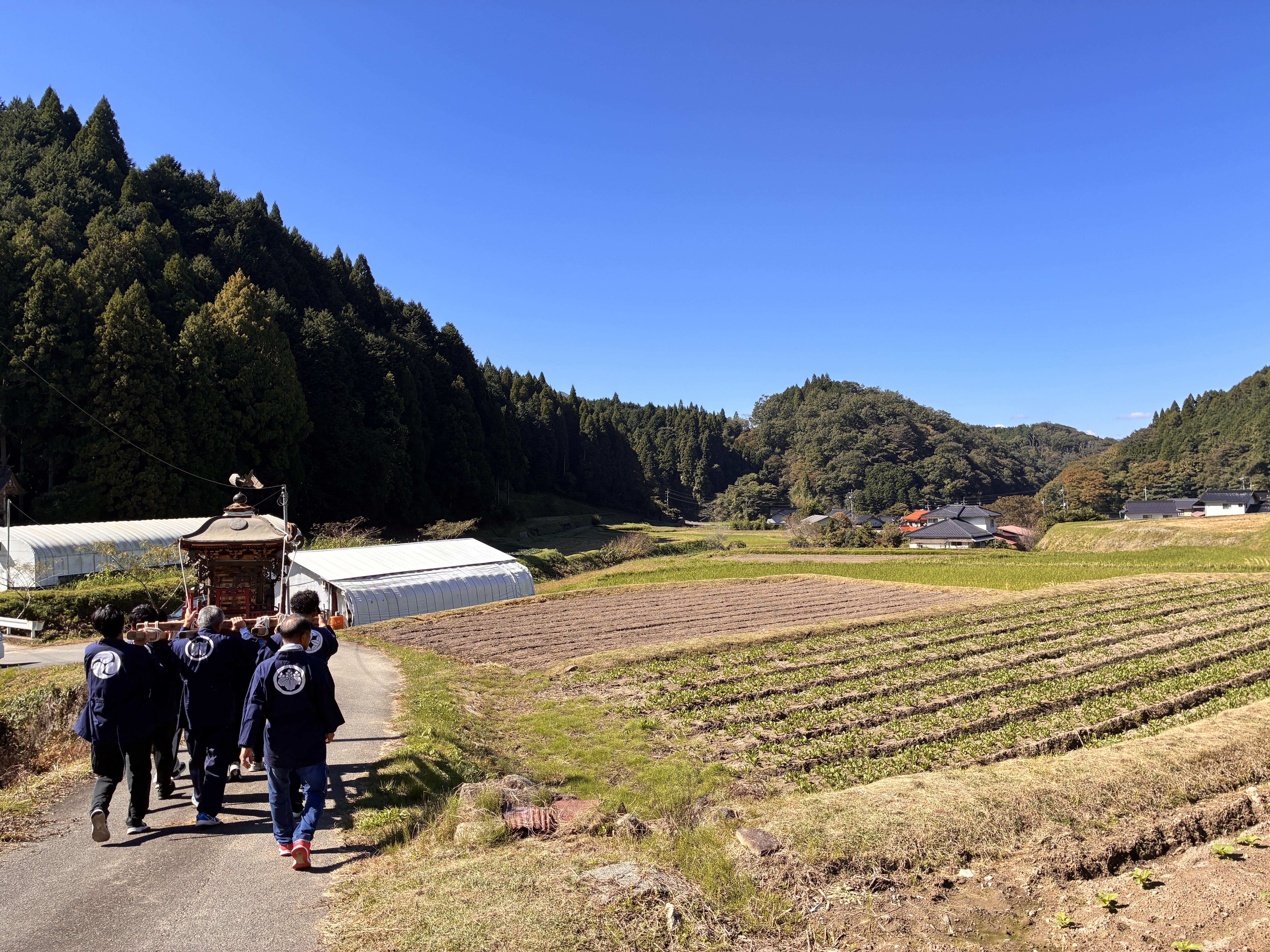 里の畑の間を進むおみこし