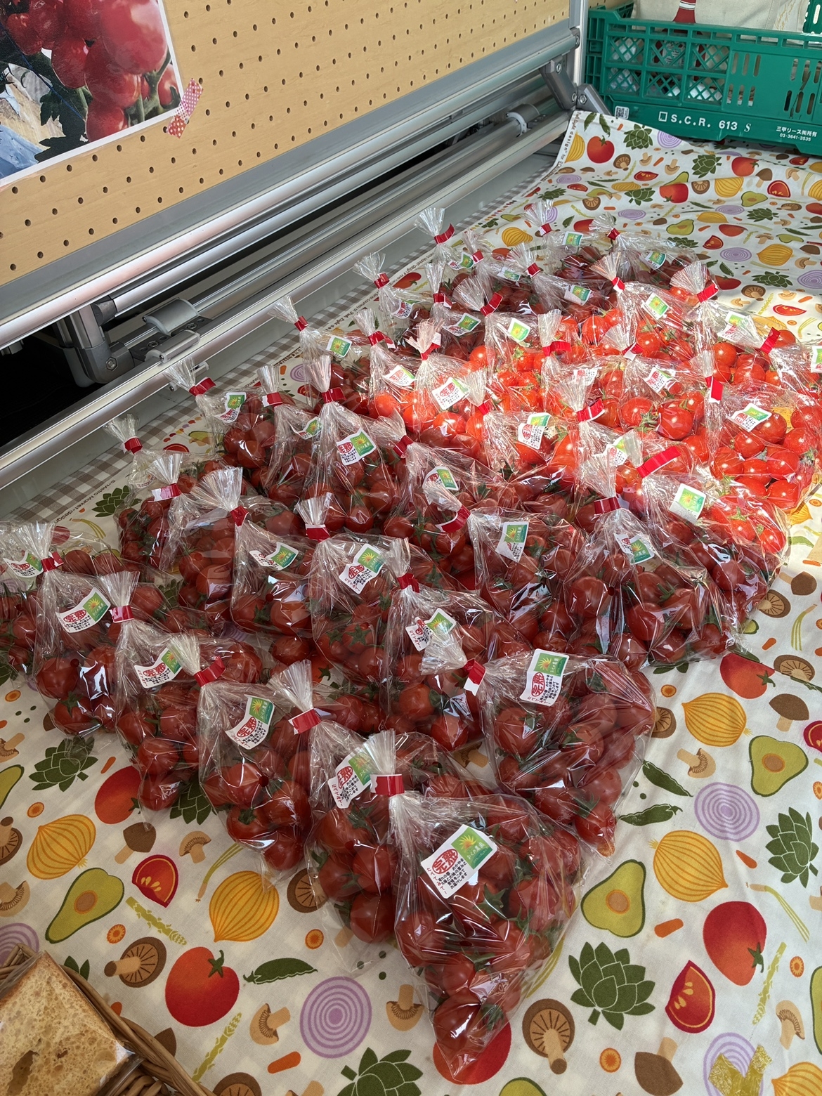 朝採れ新鮮です！