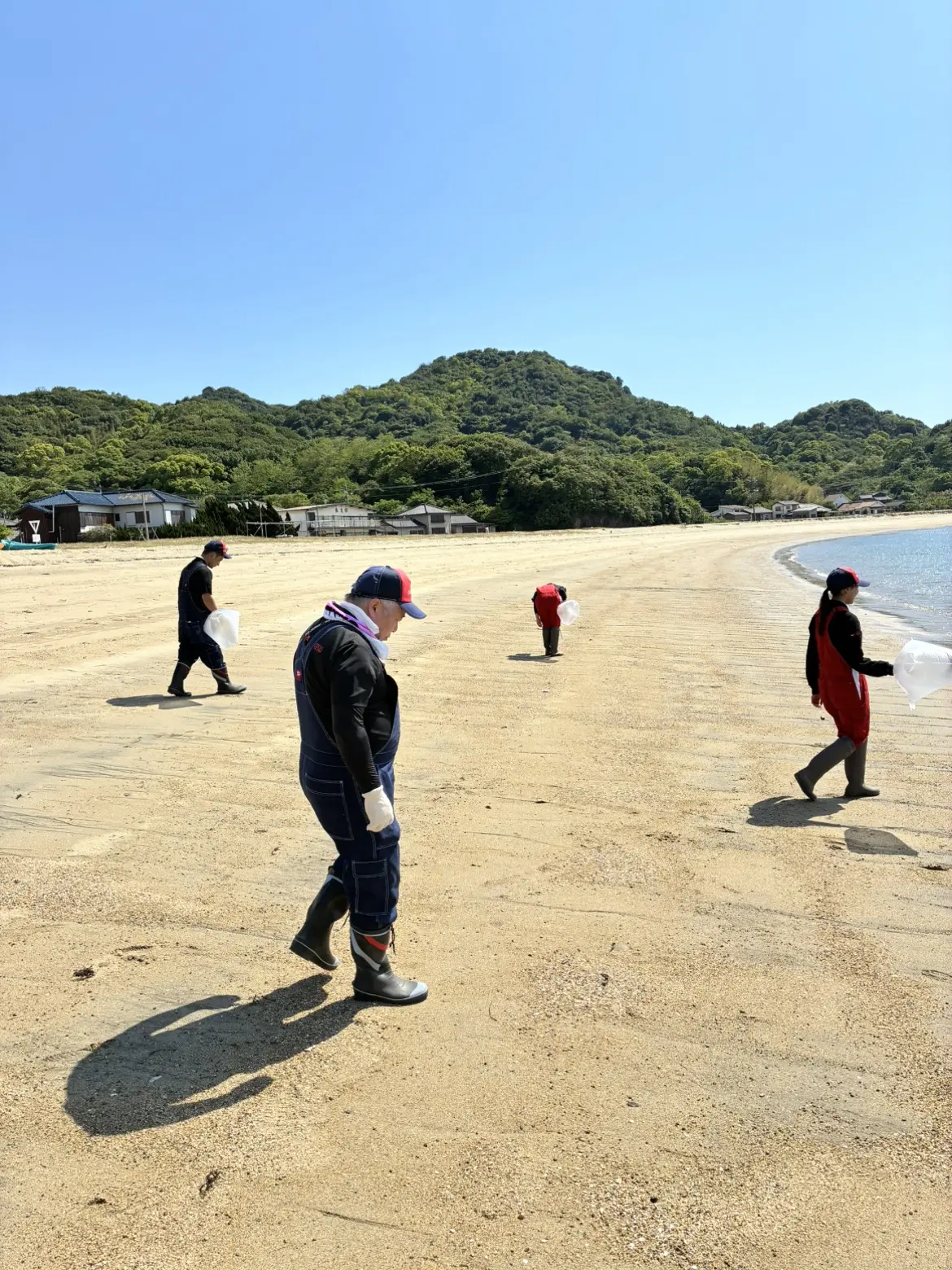 ゴミもそんなに無いのかな？
