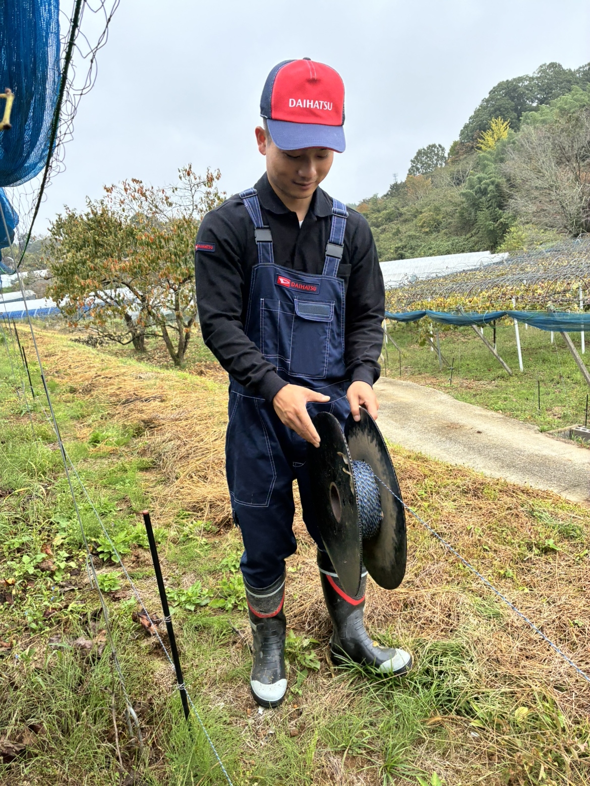 こちらの農園は固定用バンドの整備