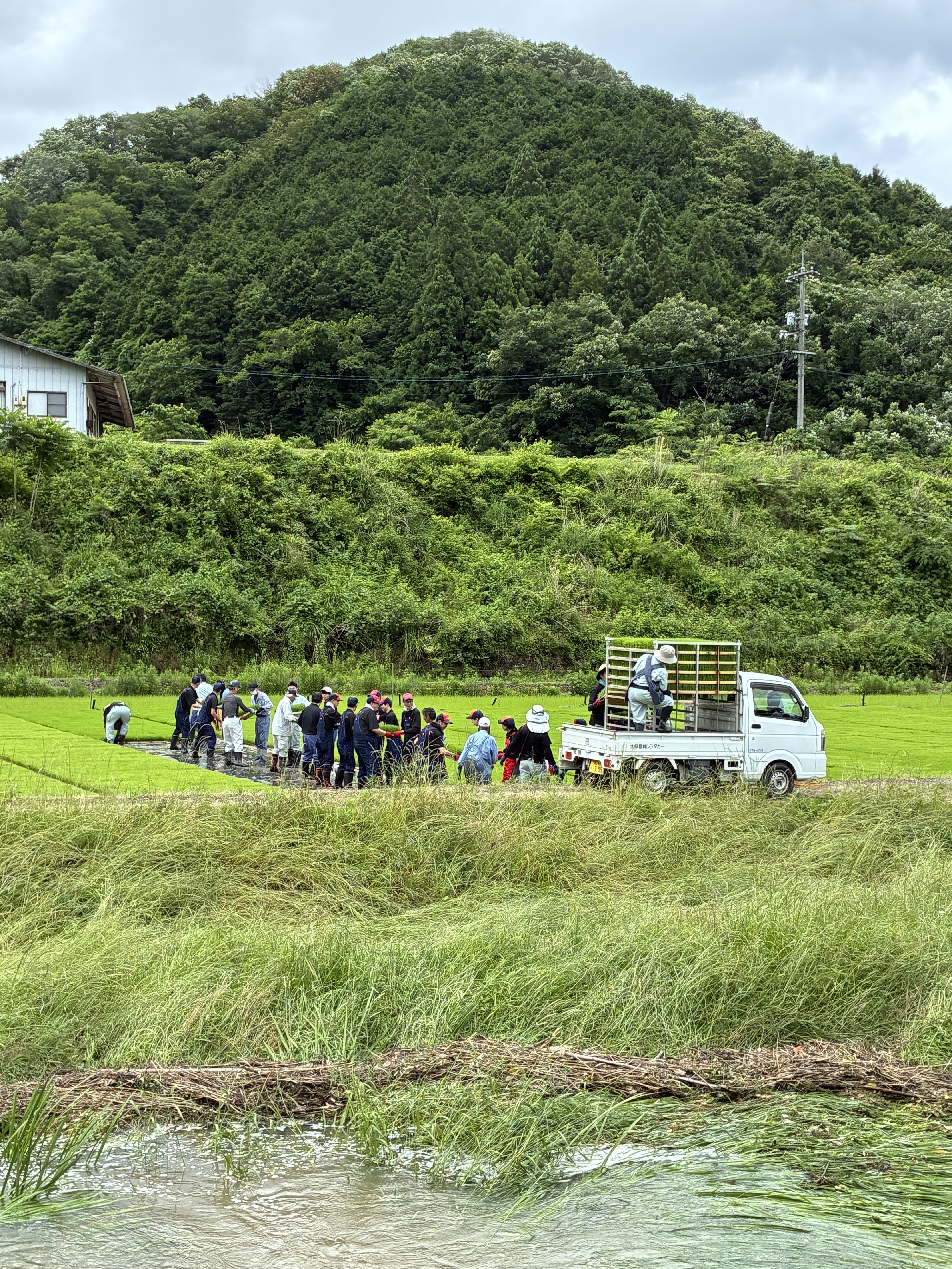 川の手前から