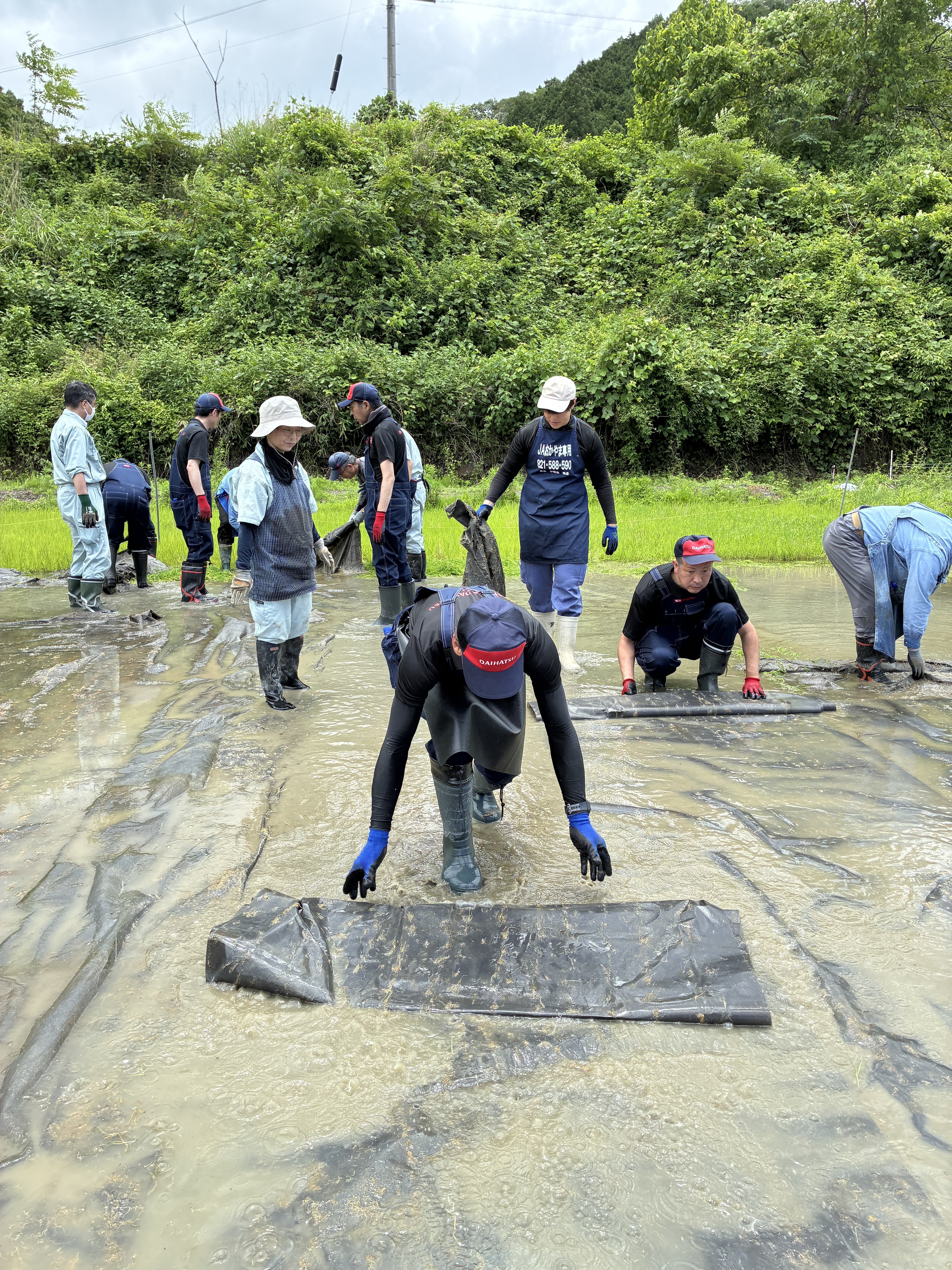 地味にキツイ作業（ウサギ飛びかアヒルあるきです）
