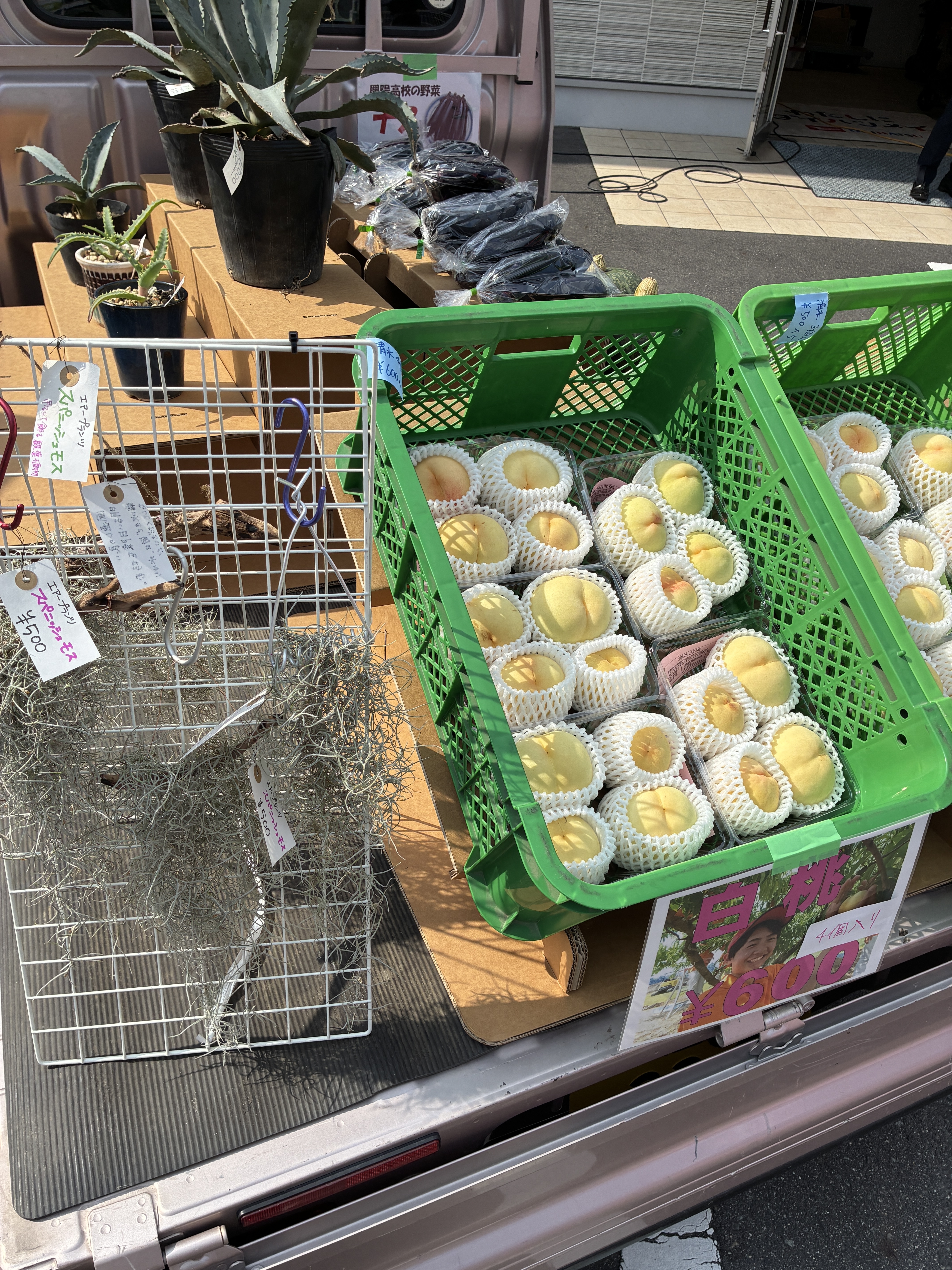 元気いっぱい「岡山県立興陽高校」さん