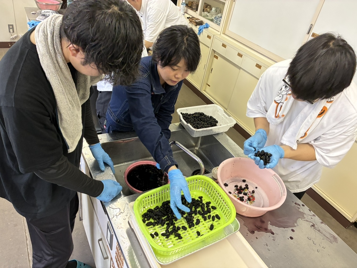 きれいな実だけをピックアップします