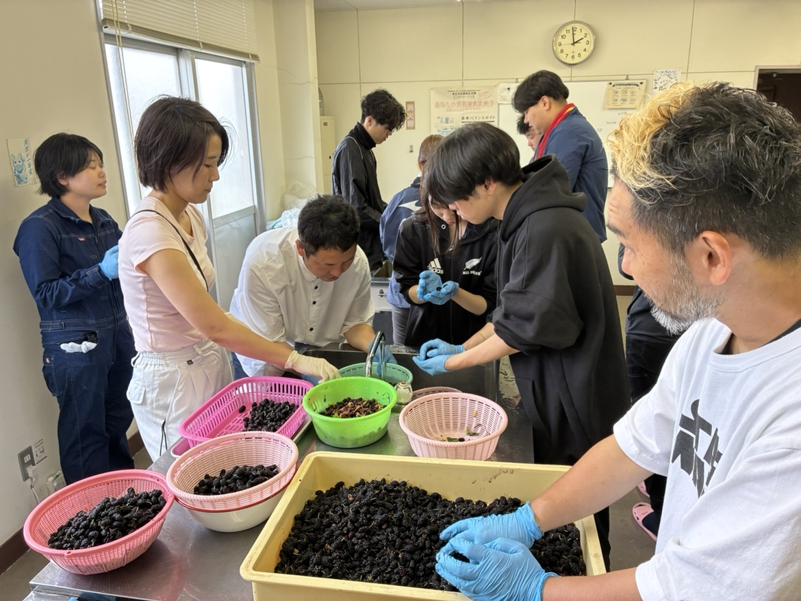 帰りのフェリーに間に合うように洗浄を急ぎます