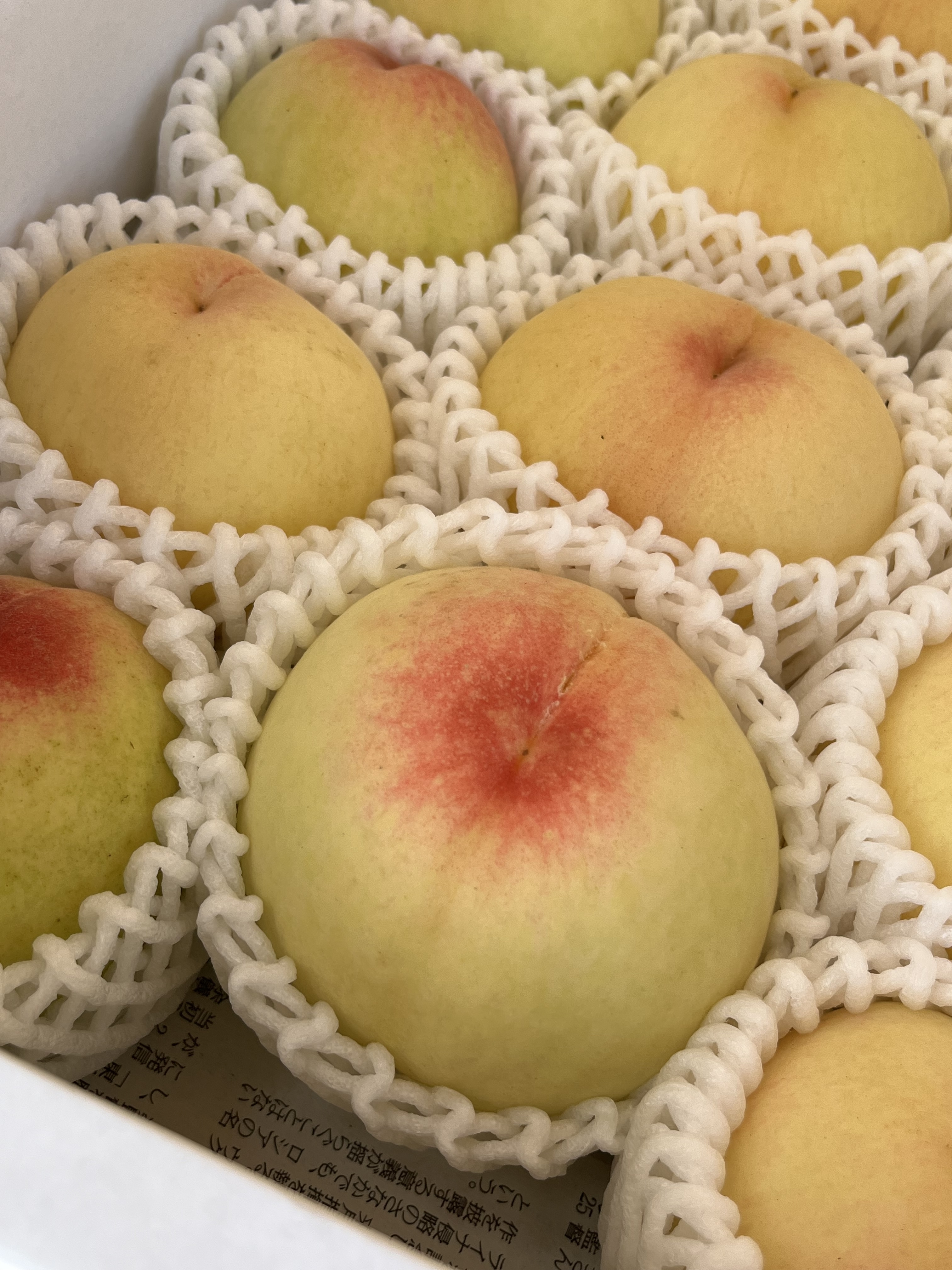 Nibako:桃マルシェで夏を感じる！In鴨方店｜地域とつながる活動