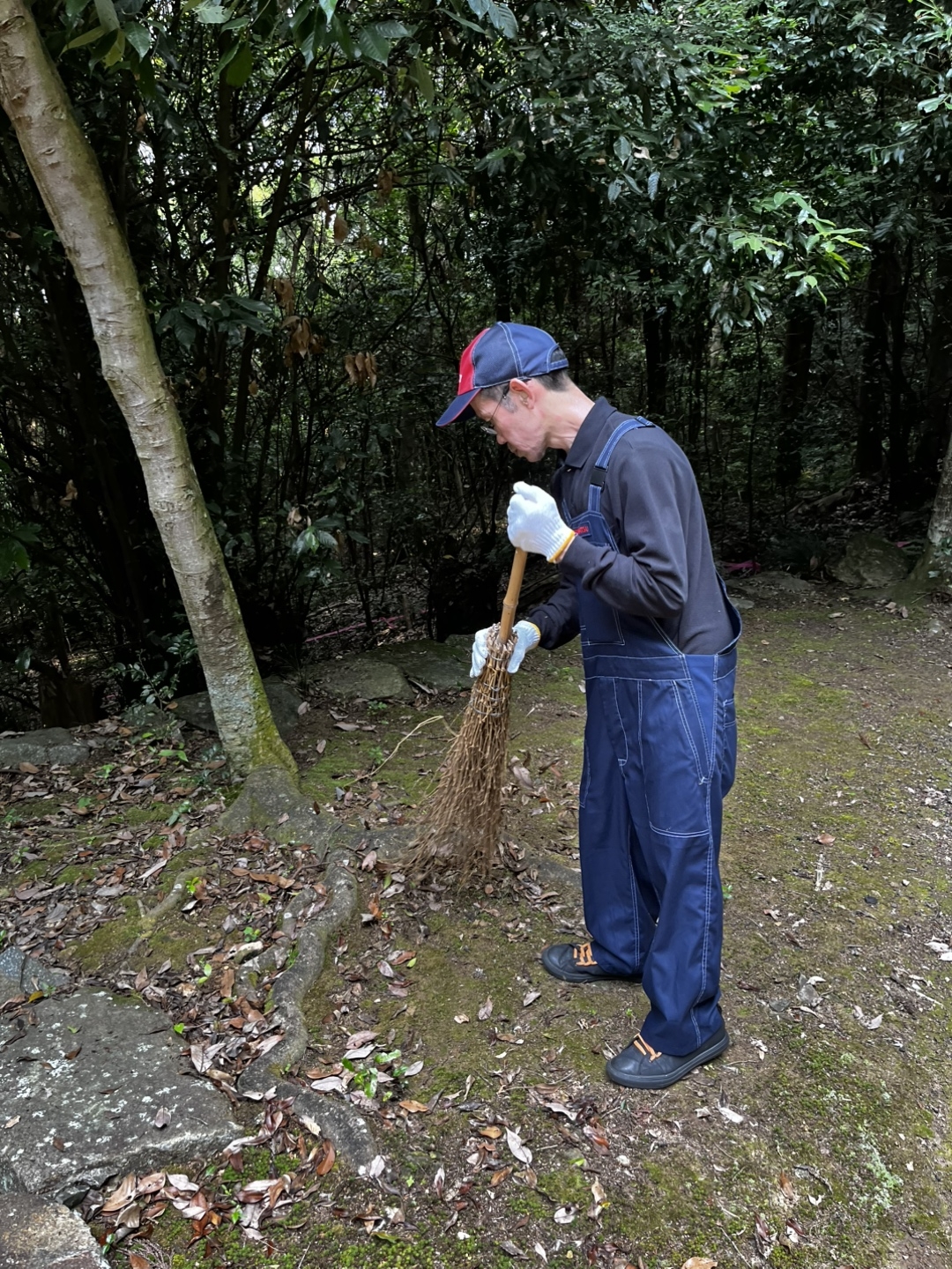 境内の落ち葉を掃きます