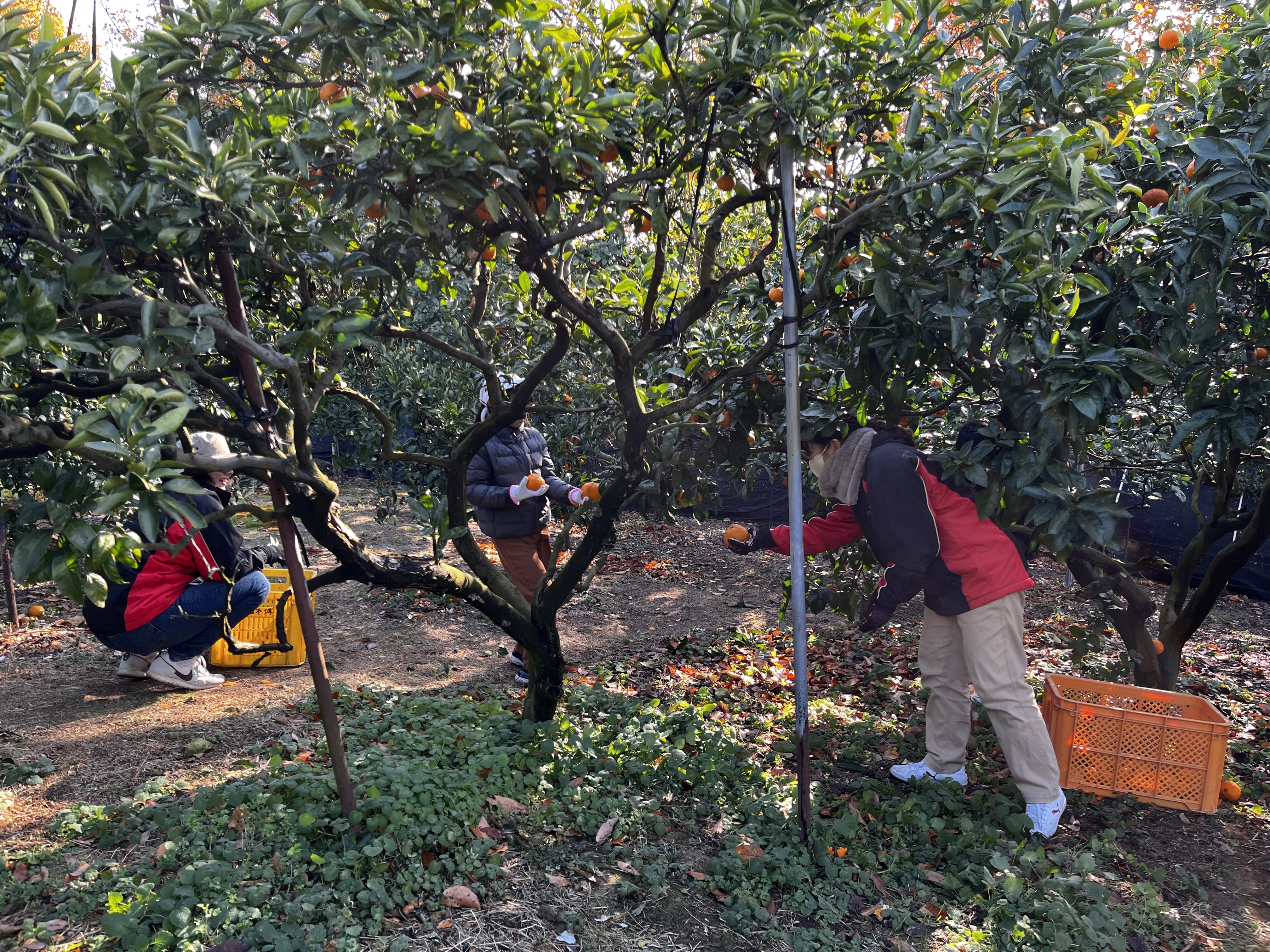 母娘のふれあい