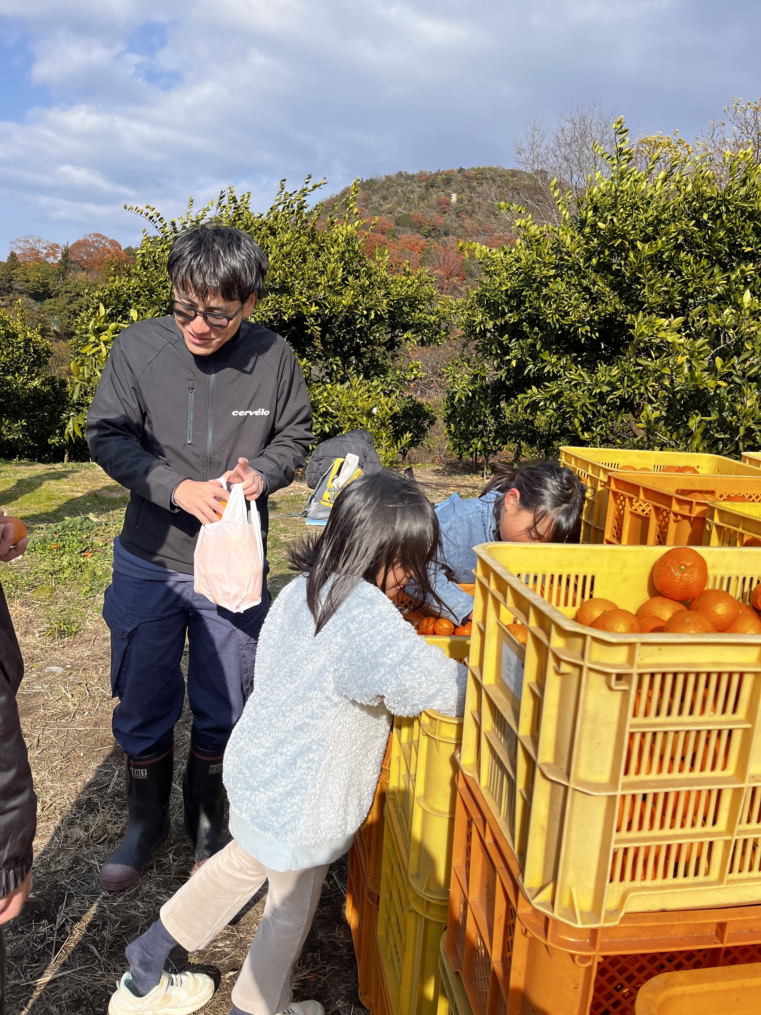 お土産用のみかんを選んでいます「美味しいのはどれかな～～」