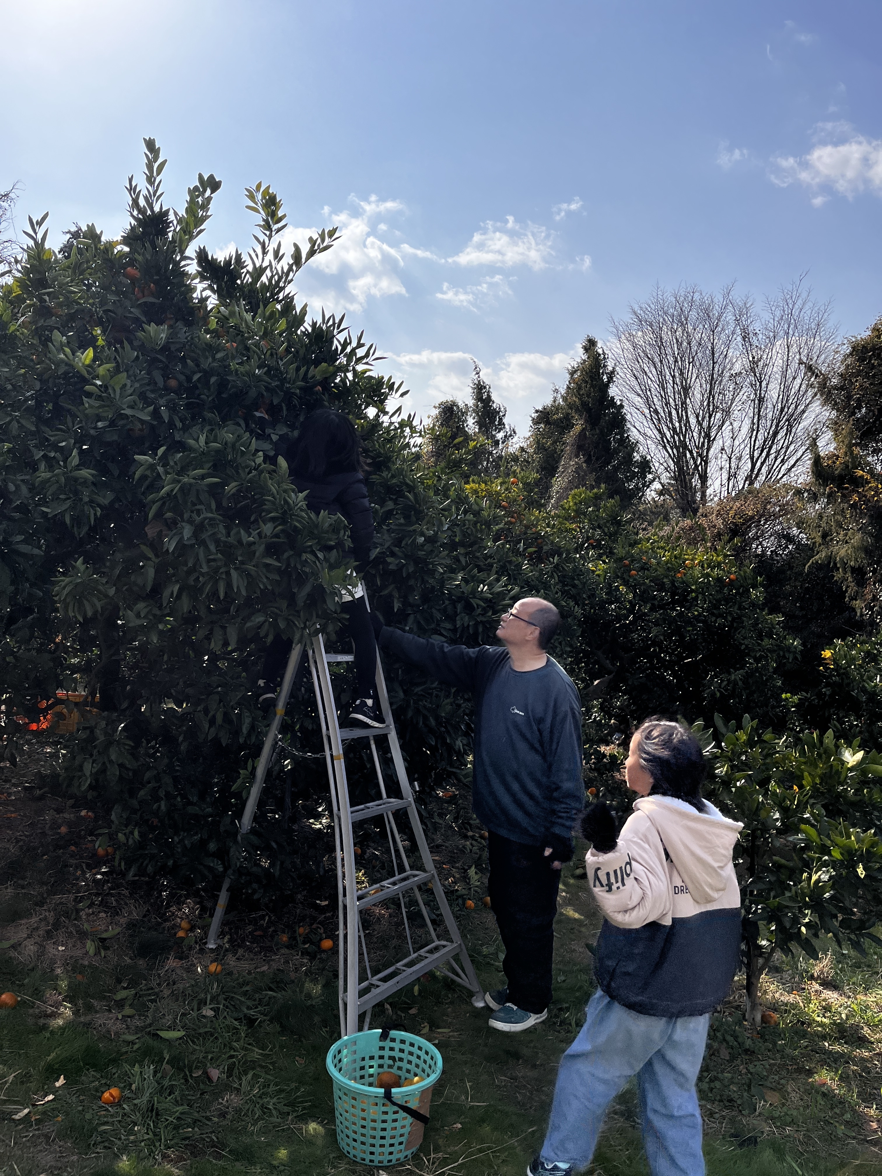 風が吹いていましたが、上着を脱ぐ時間もありましたね