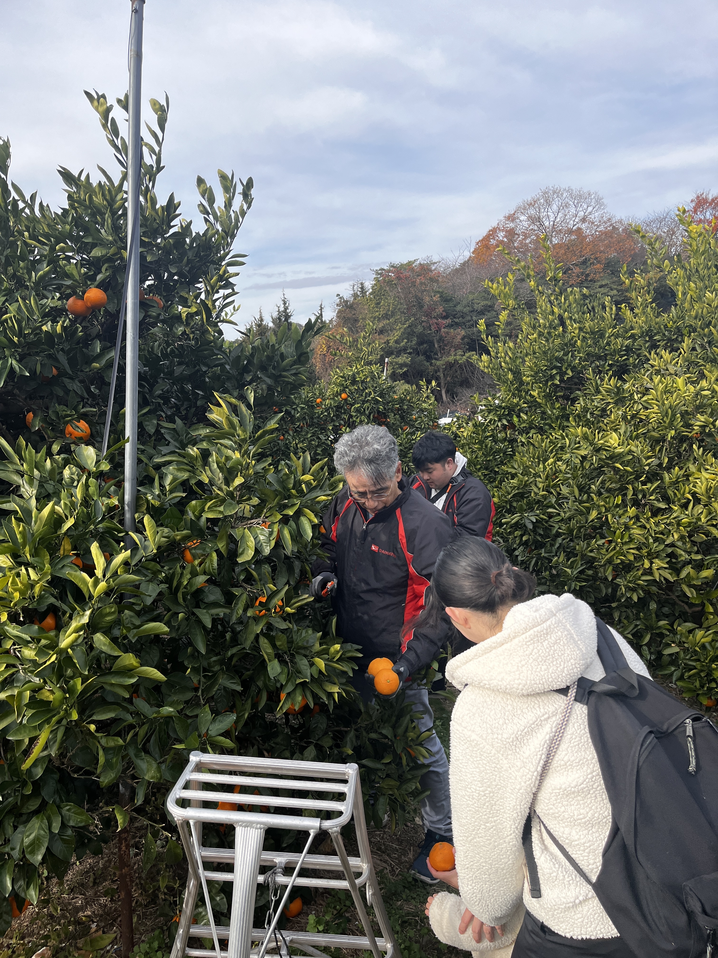 ちびっこに収穫した実を託す