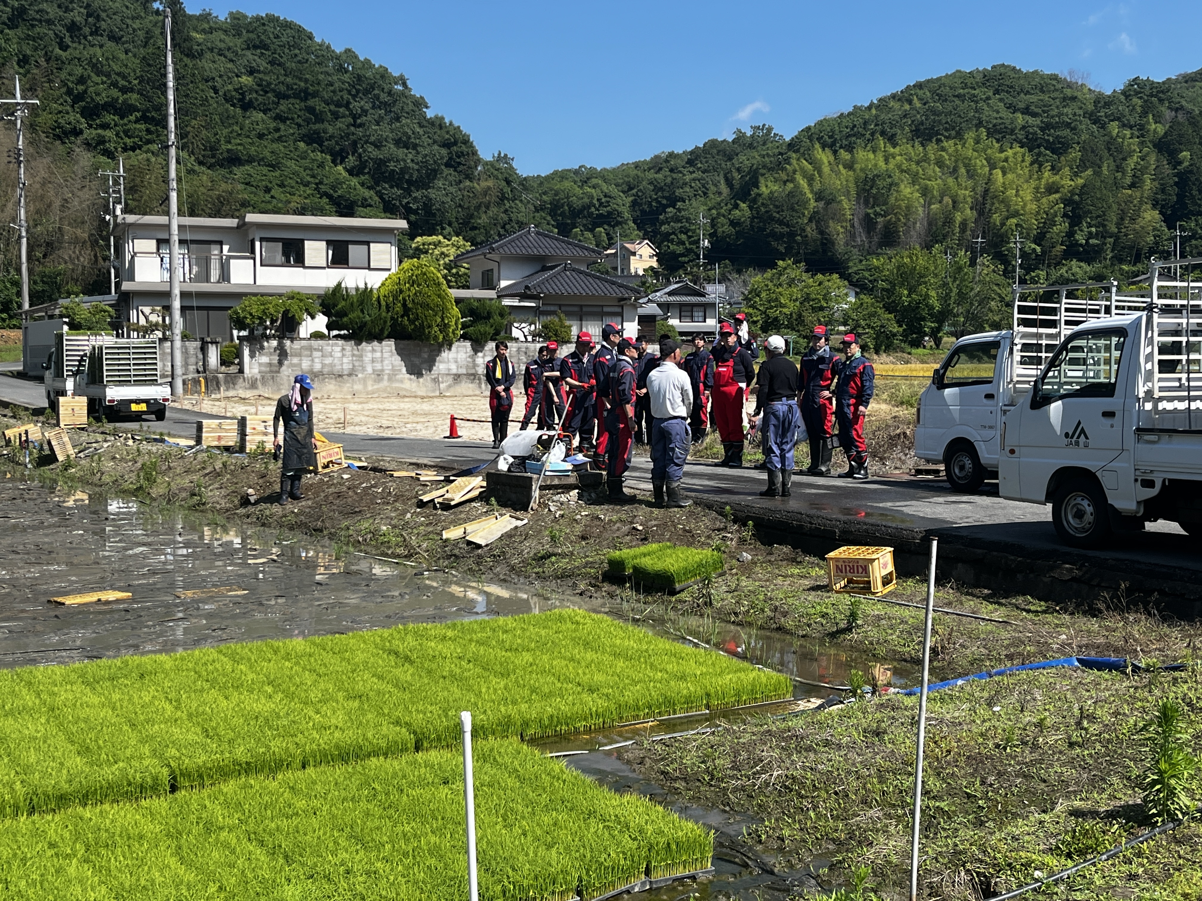 西側の圃場です。既にJAの皆さんは早朝から2時間ほど働いています。