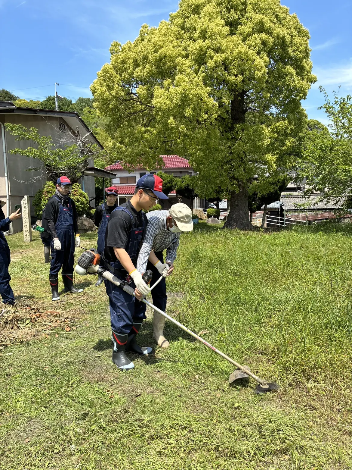 草刈のコツを教えてもらってます