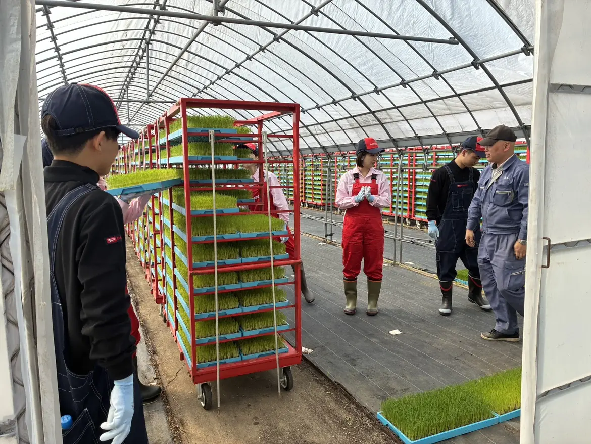 並べ方の説明を聞きます。初めての体験に緊張している新入社員も。