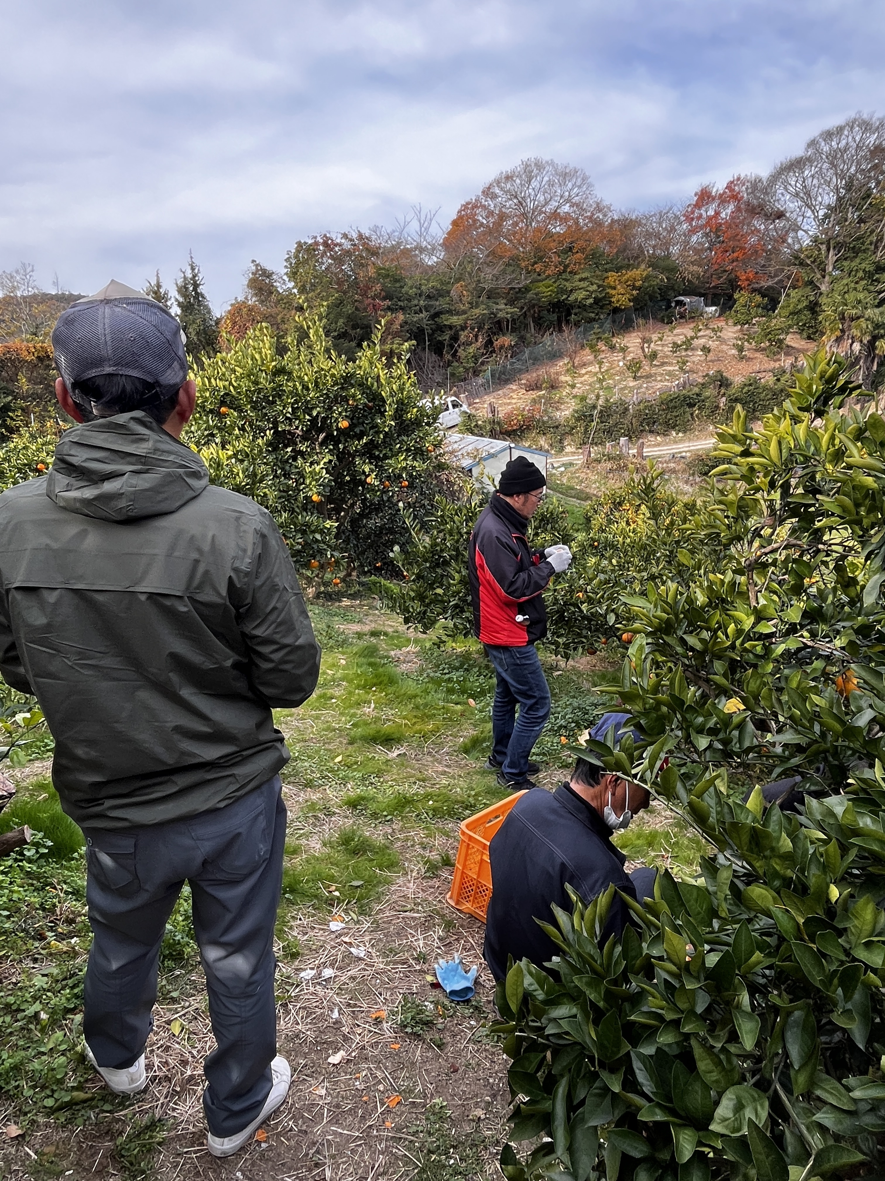 存分に食べて良いとお許しがありますので、まずは味見から・・！