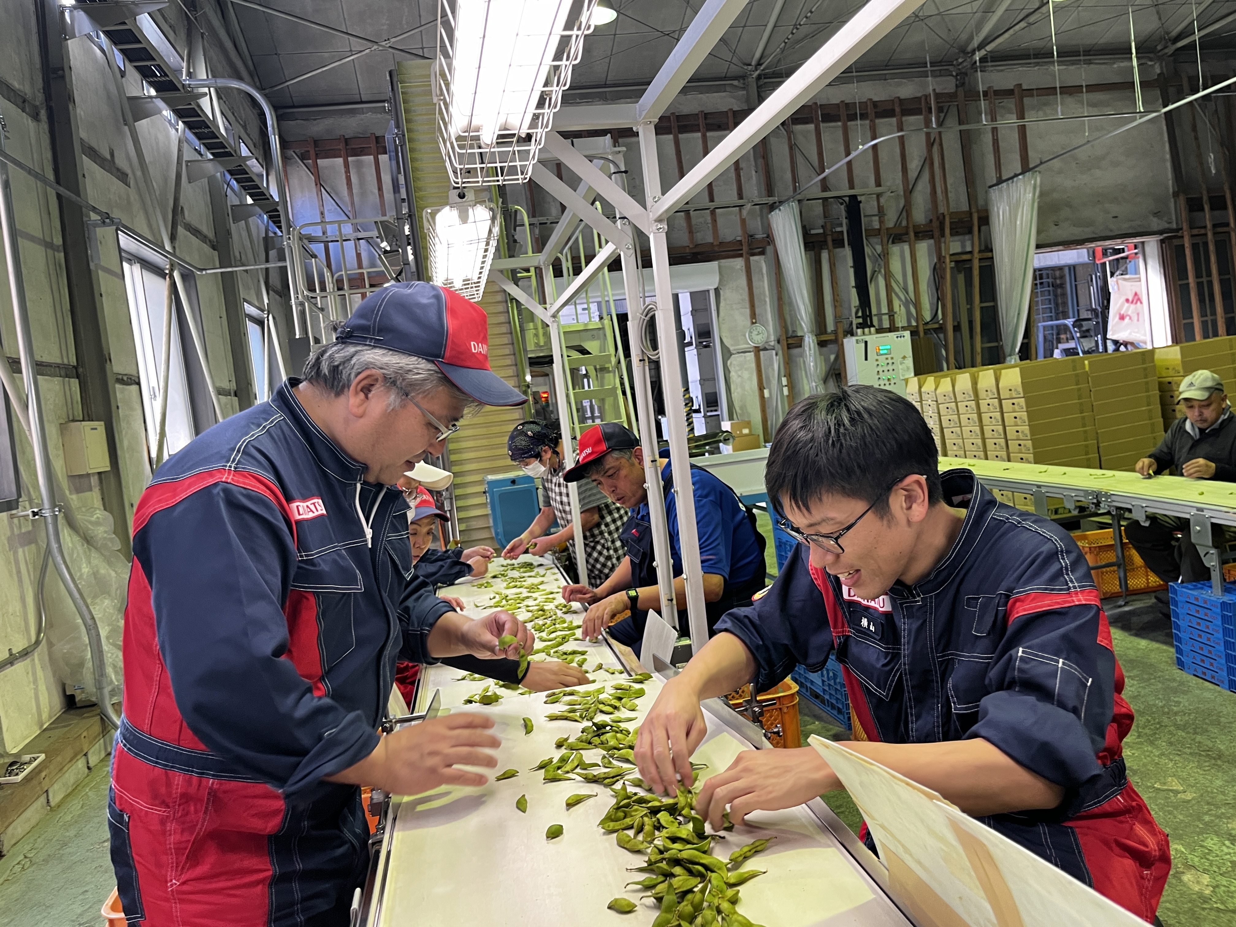 目で追ってると酔いそう・・・