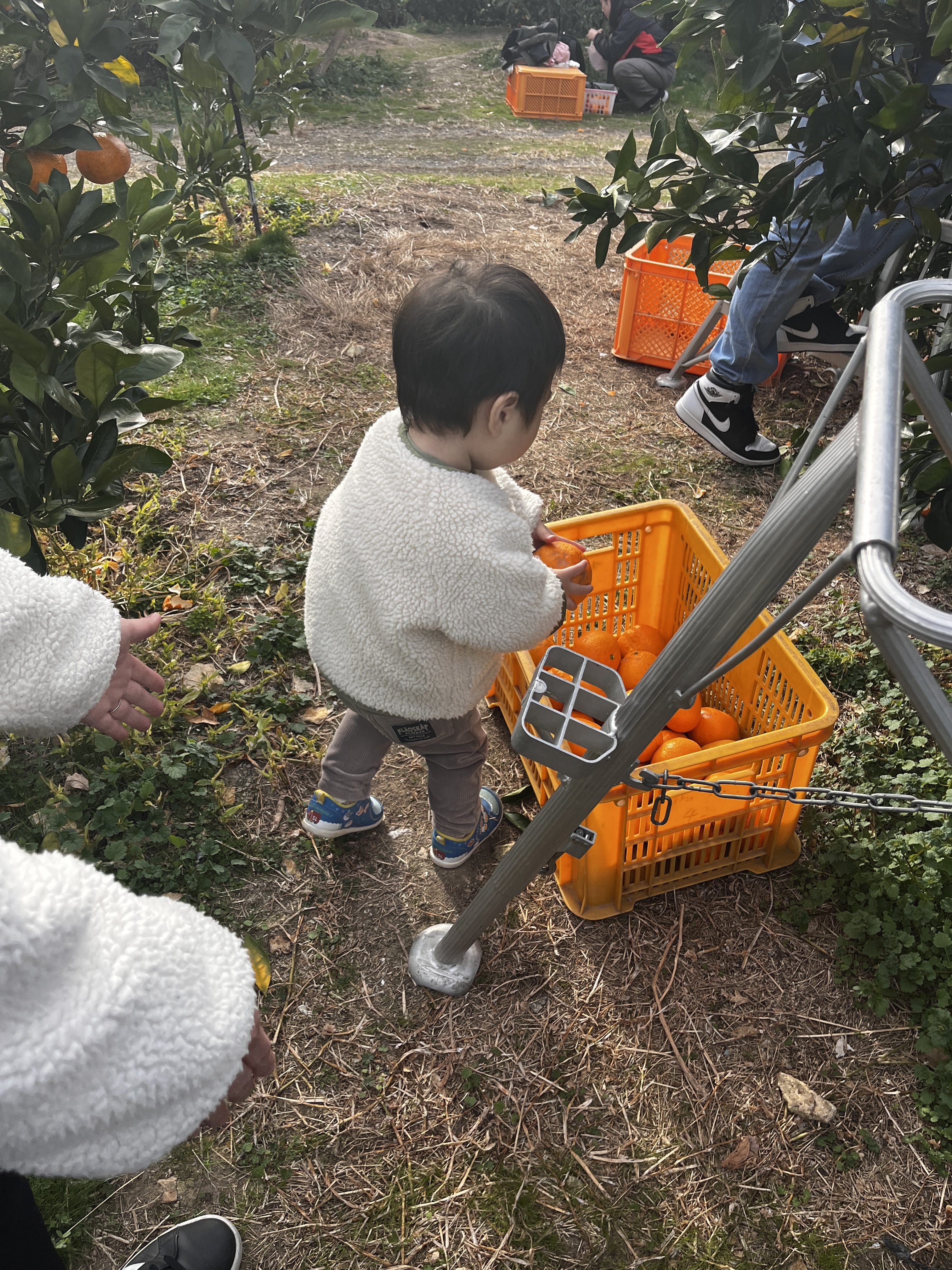 たくさんお手伝いして偉いね！