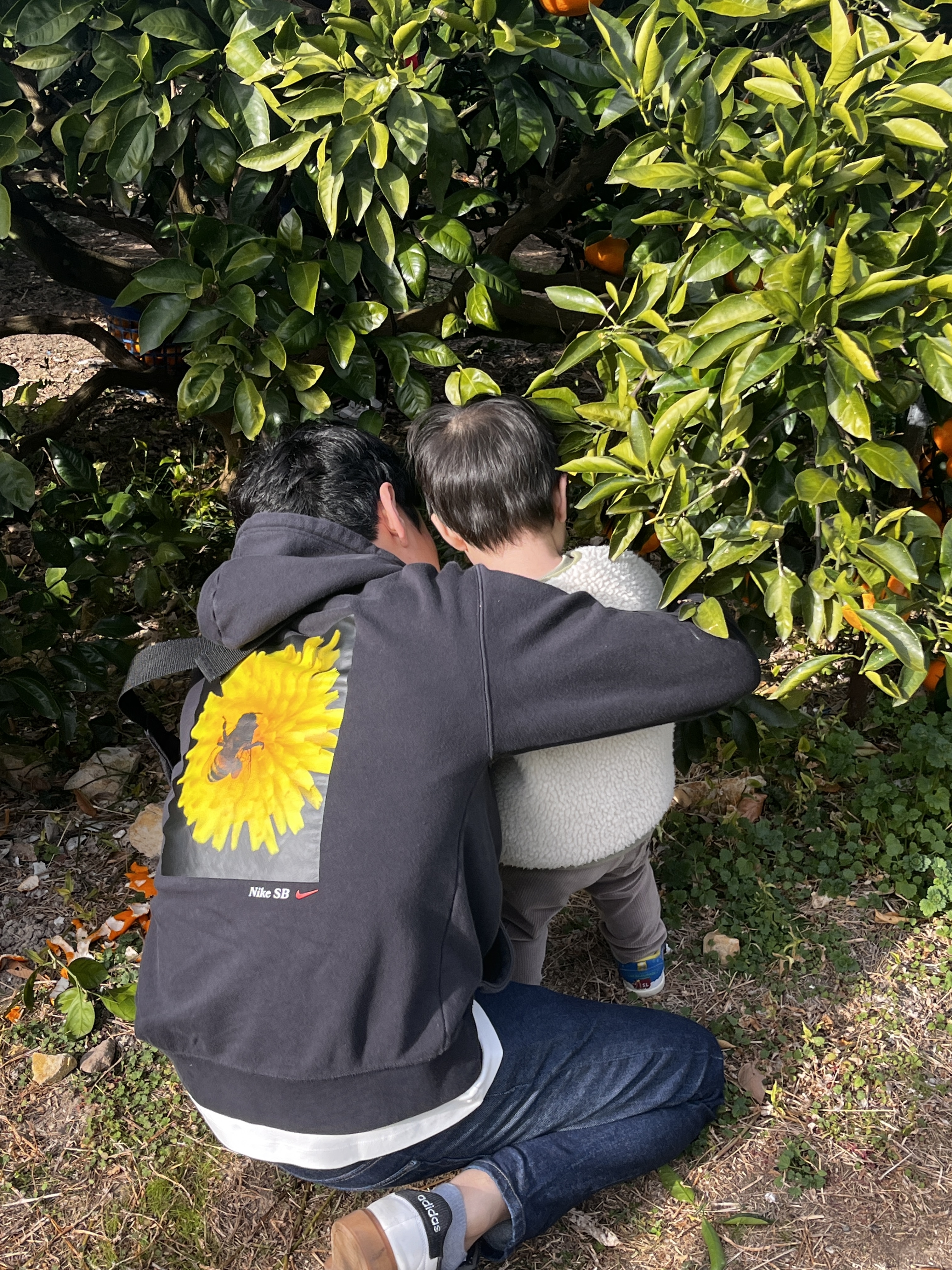 パパに手伝ってもってハサミで切ります。木は意外と硬いのよ