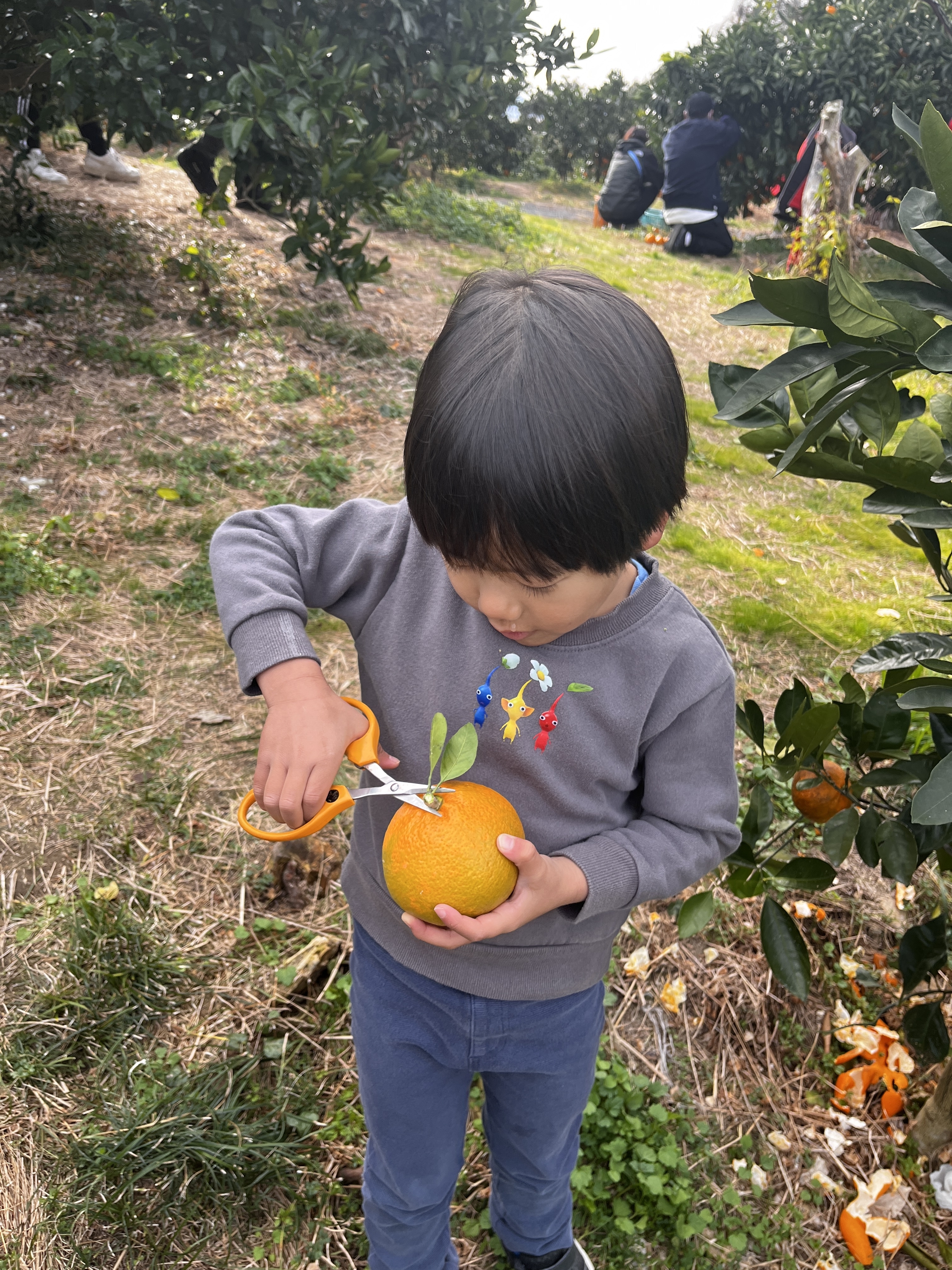 お兄ちゃんは上手にハサミを使ってカット出来ました！