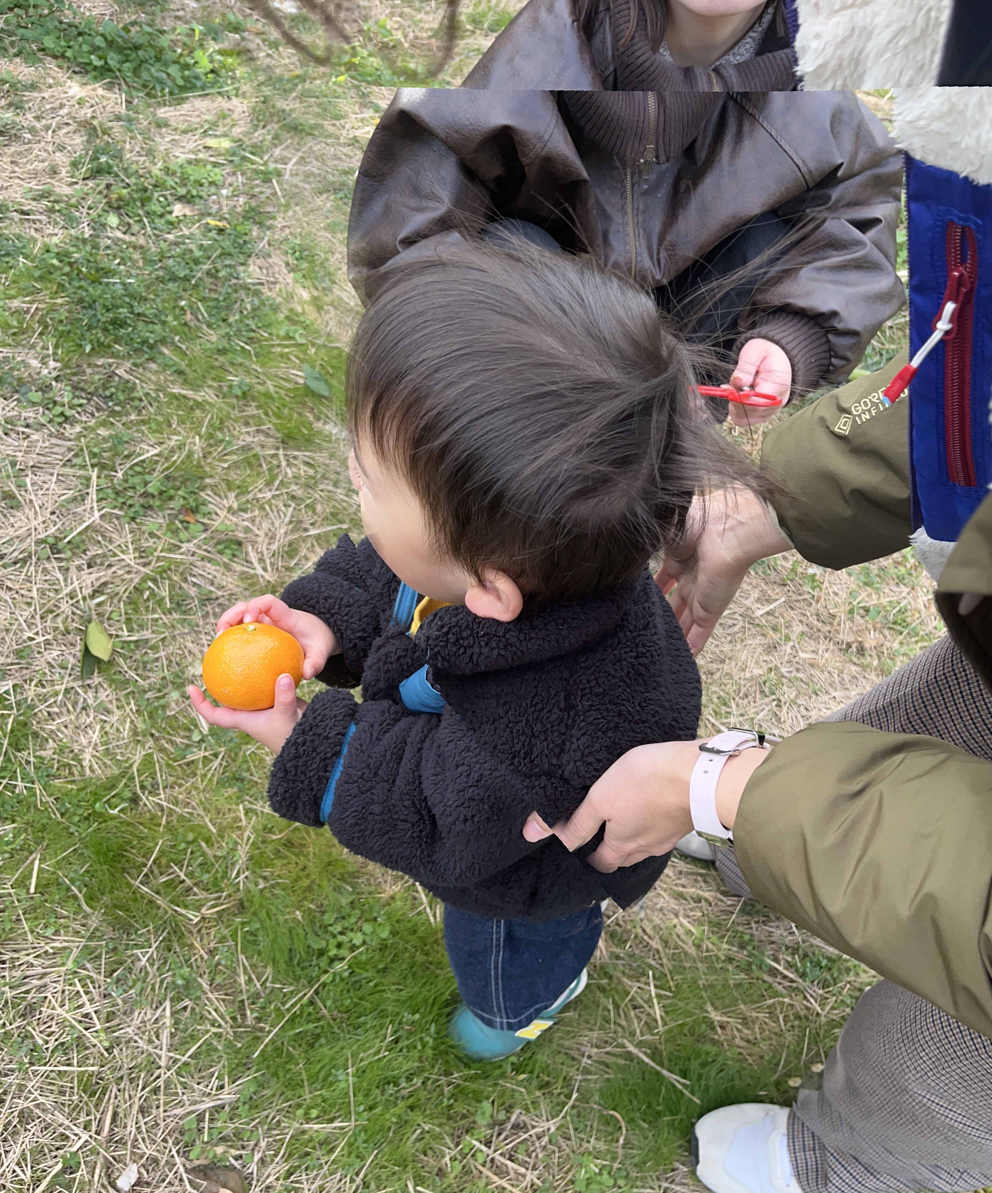 ボクはカゴに入れるお手伝い