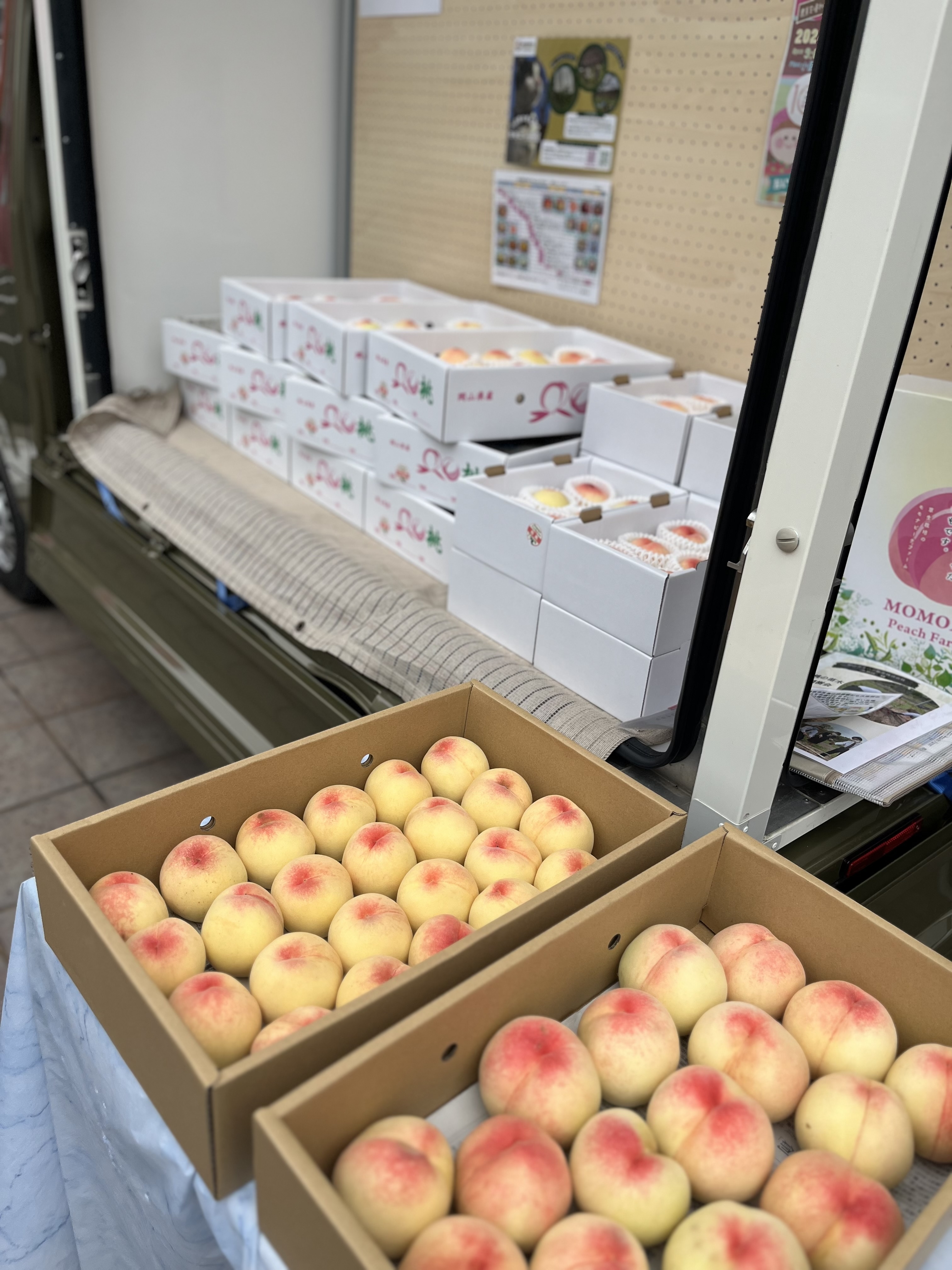 ダイハツ夏のマルシェ開催しました！｜地域とつながる活動｜ダイハツ
