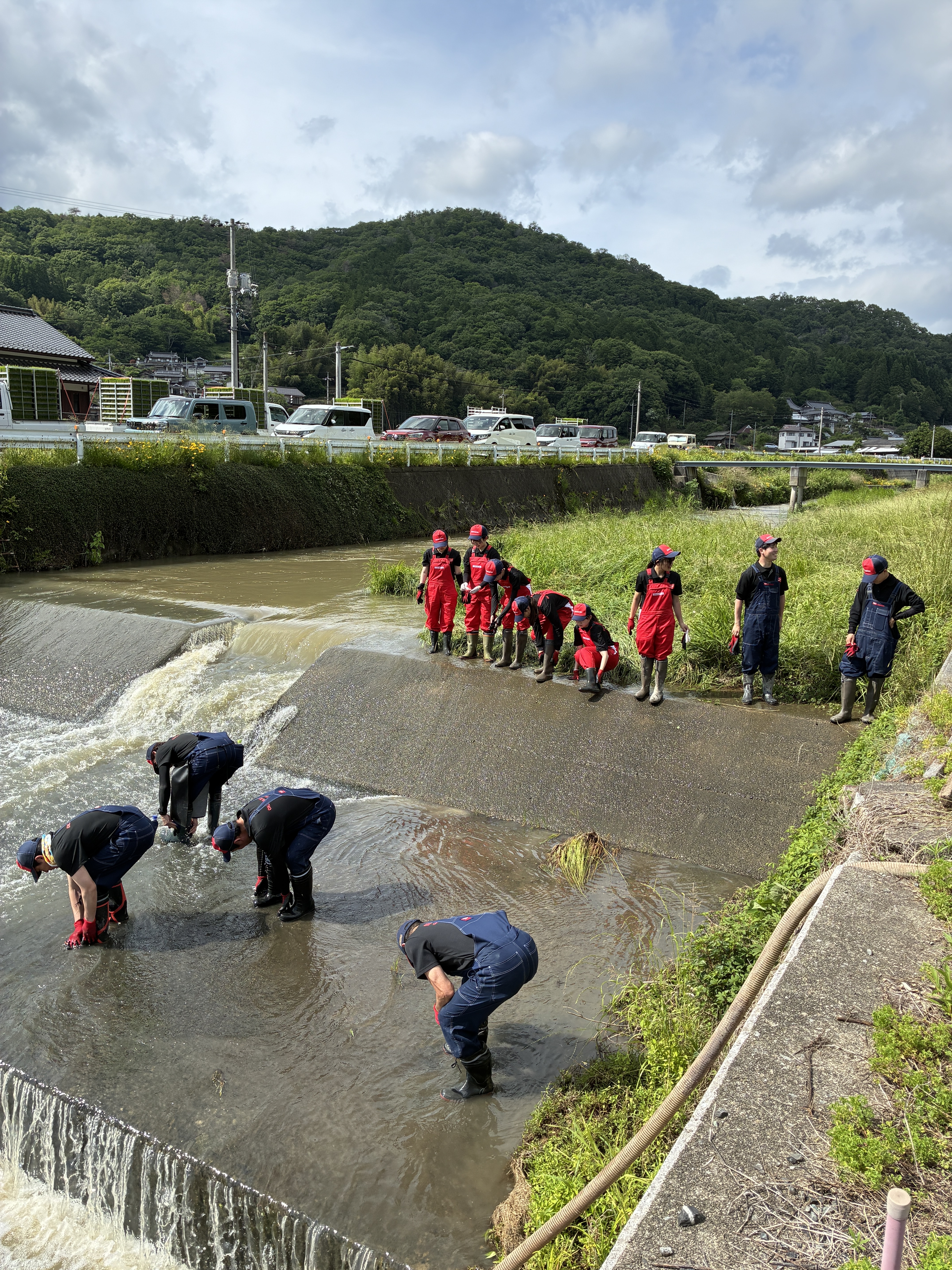 今日は水が多いので、端っこで洗います