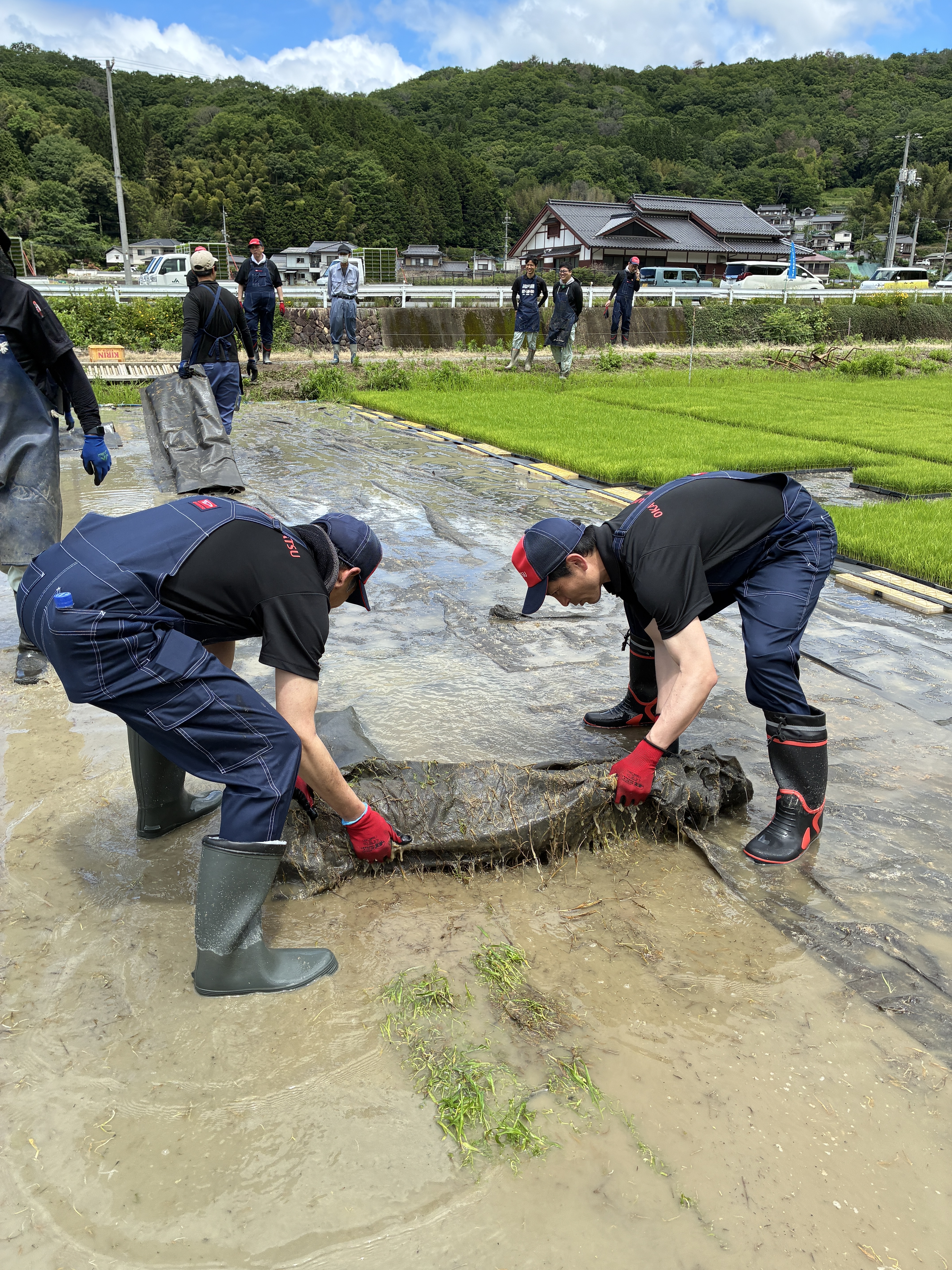 こちらも水を含んで重たいです