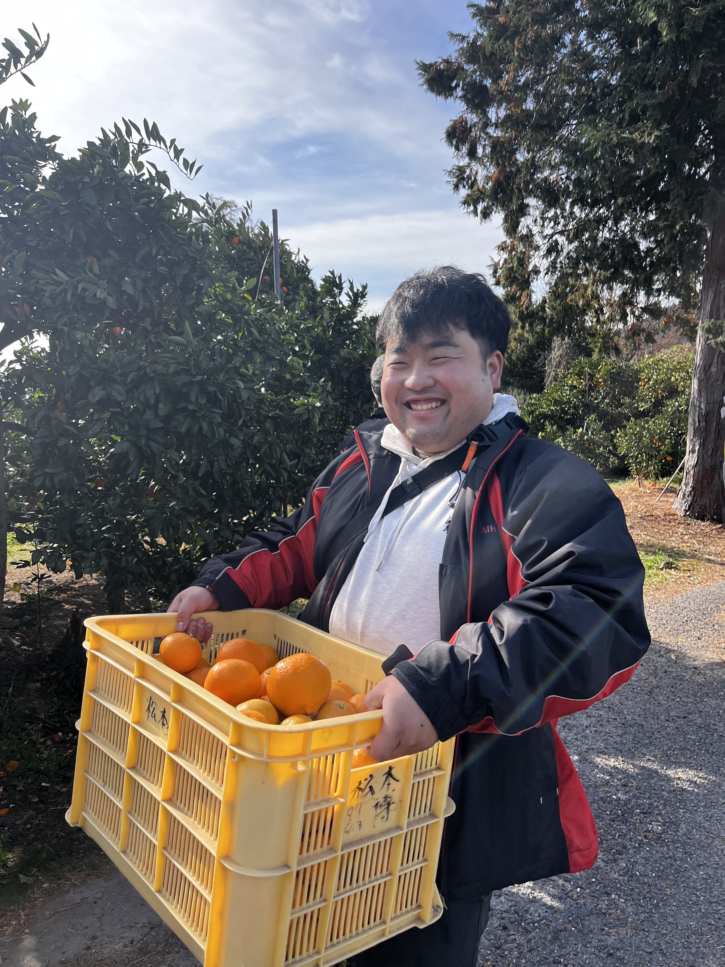 コンテナいっぱいのみかんは重いです！めっちゃ重労働です
