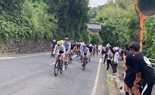コース左側の歩道から選手にドリンクやゼリーを手渡します