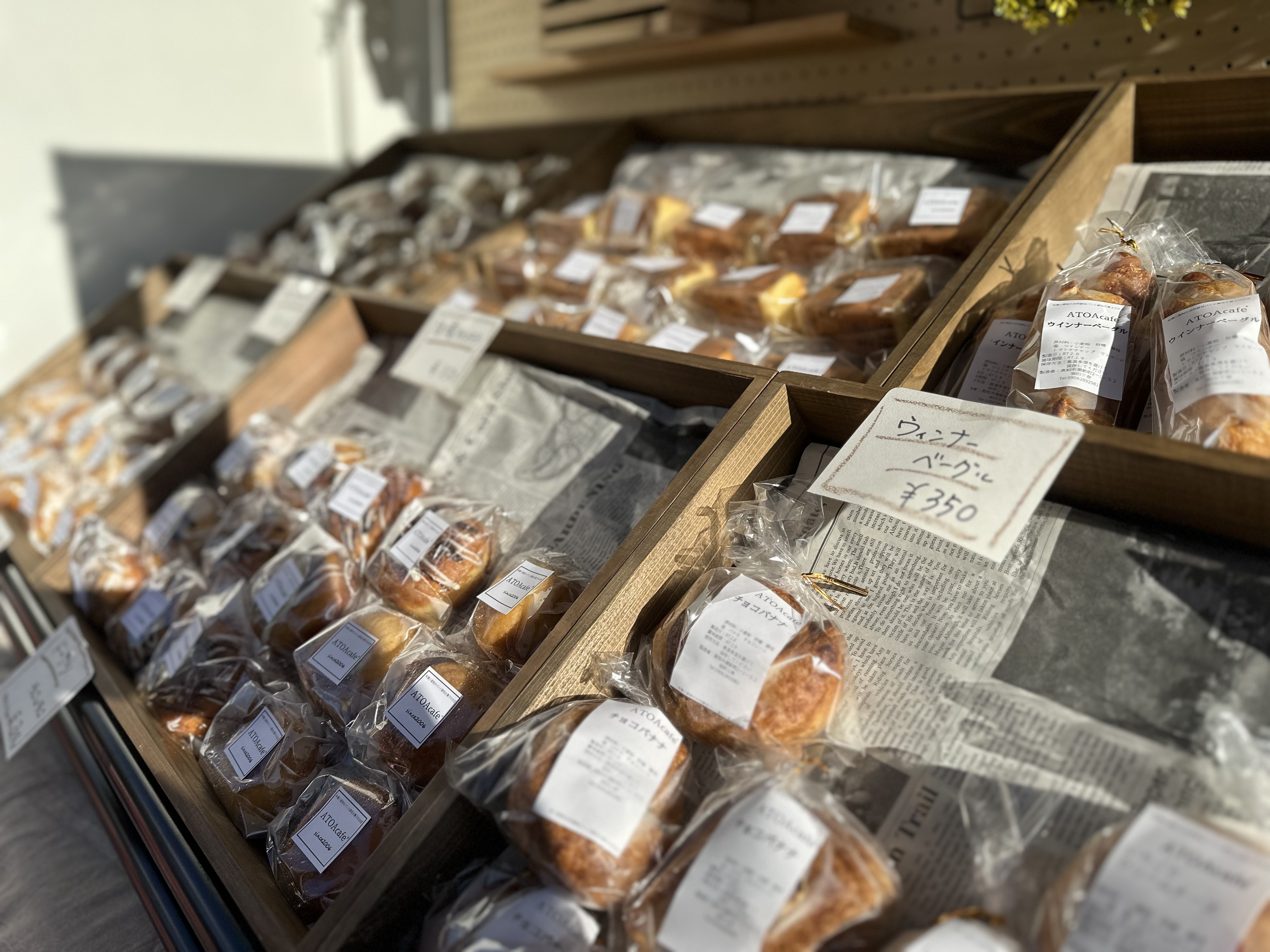 すこやかWinter」に参加しました！｜地域とつながる活動｜ダイハツ工業