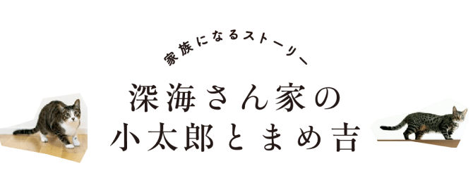 愛しているコト　家族になるストーリー